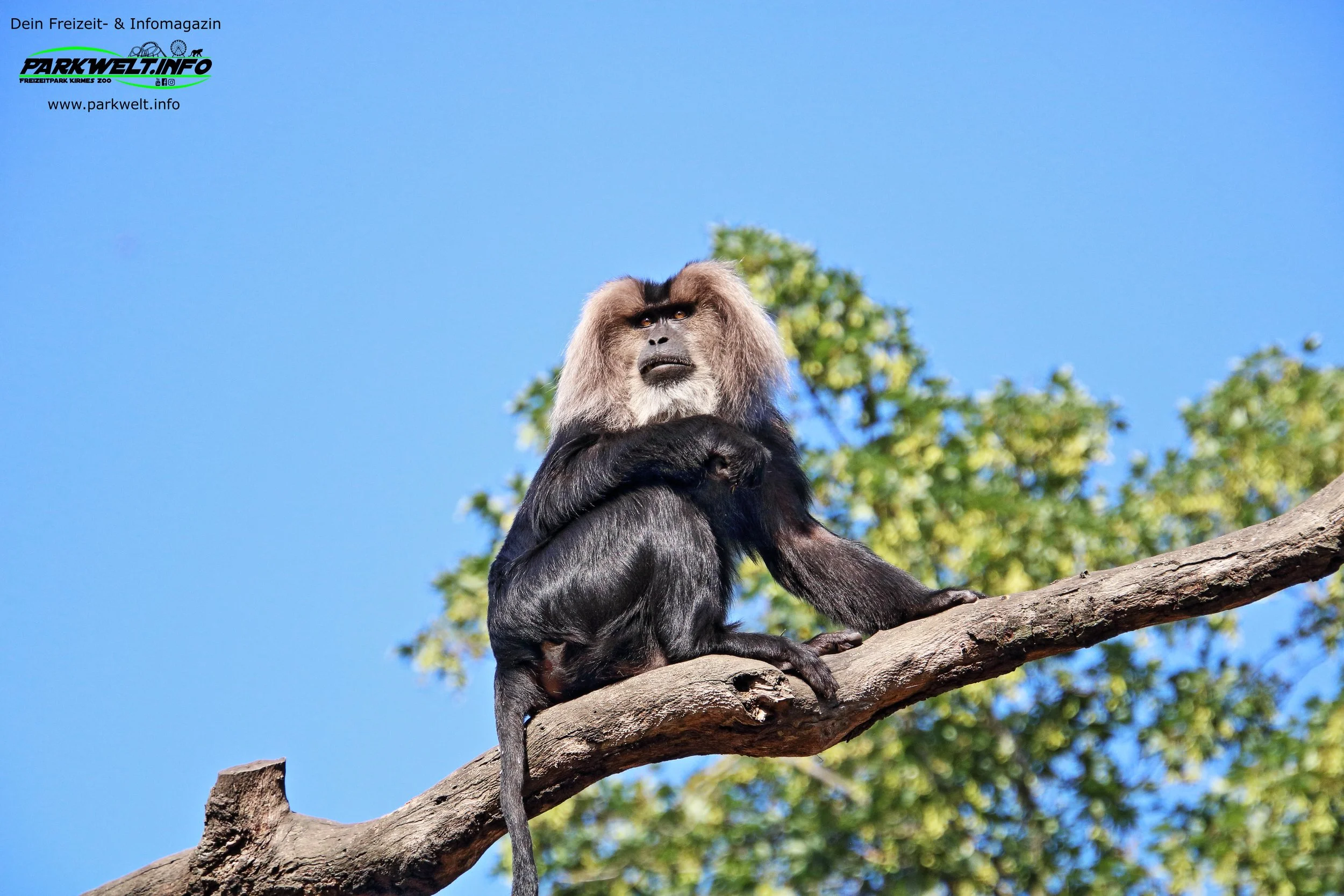 Zoo Leipzig Sachsen Tiere Ausflugsziel Park Plan Infos News Bilder Anfahrt Adresse Preise Parkplatz Attraktionen