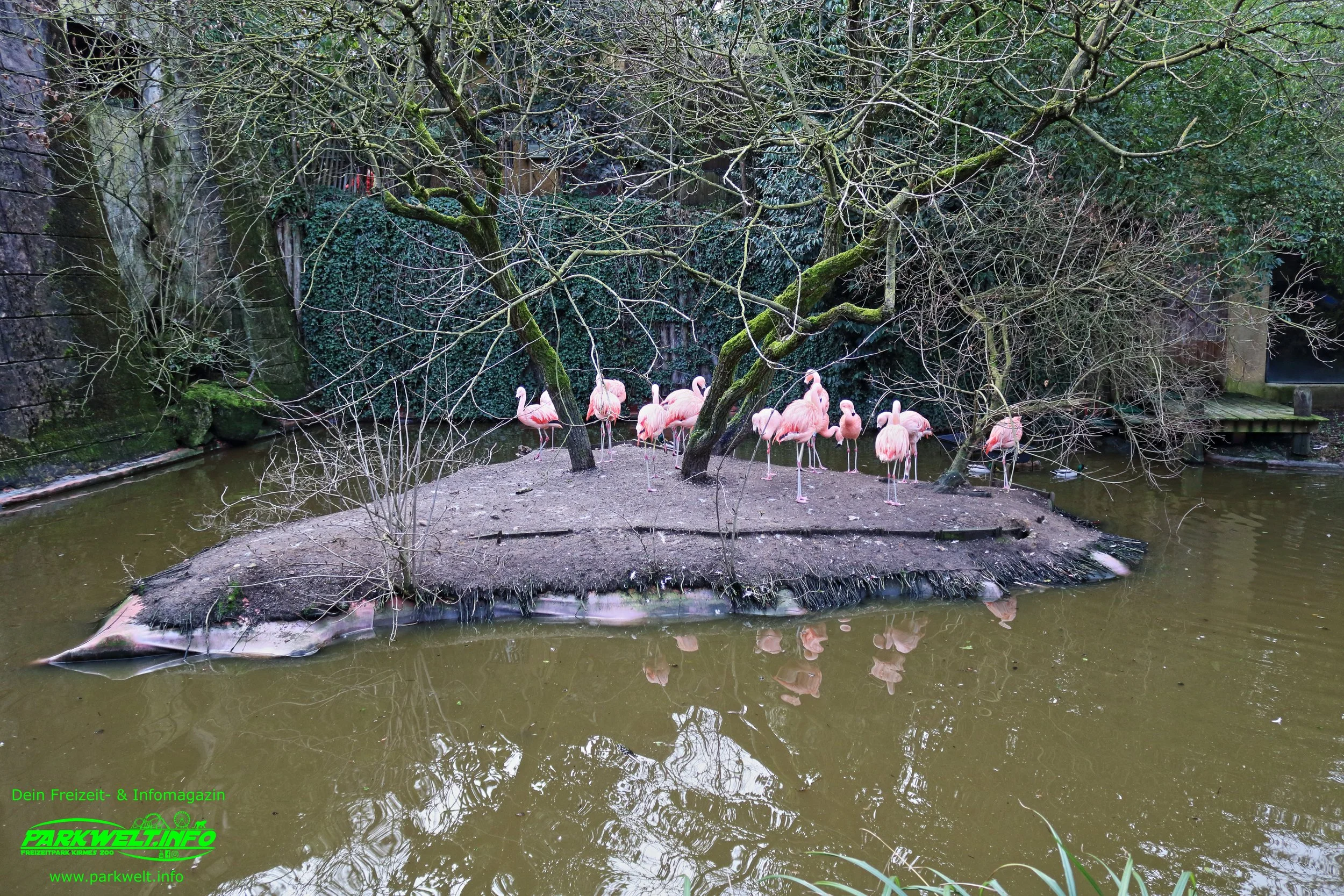 Zoo Amneville Tierpark Frankreich Tiere Ausflug Park Plan Plan du Parc Öffnungszeiten Adresse Parkplatz Familie 