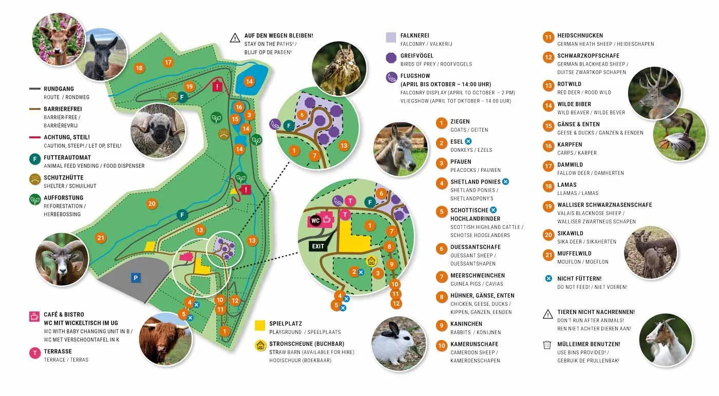 Wildpark Schmidt Tiere Zoo Infos News Park Plan Map Guide Adresse Parken Bilder Fotos Park Plan