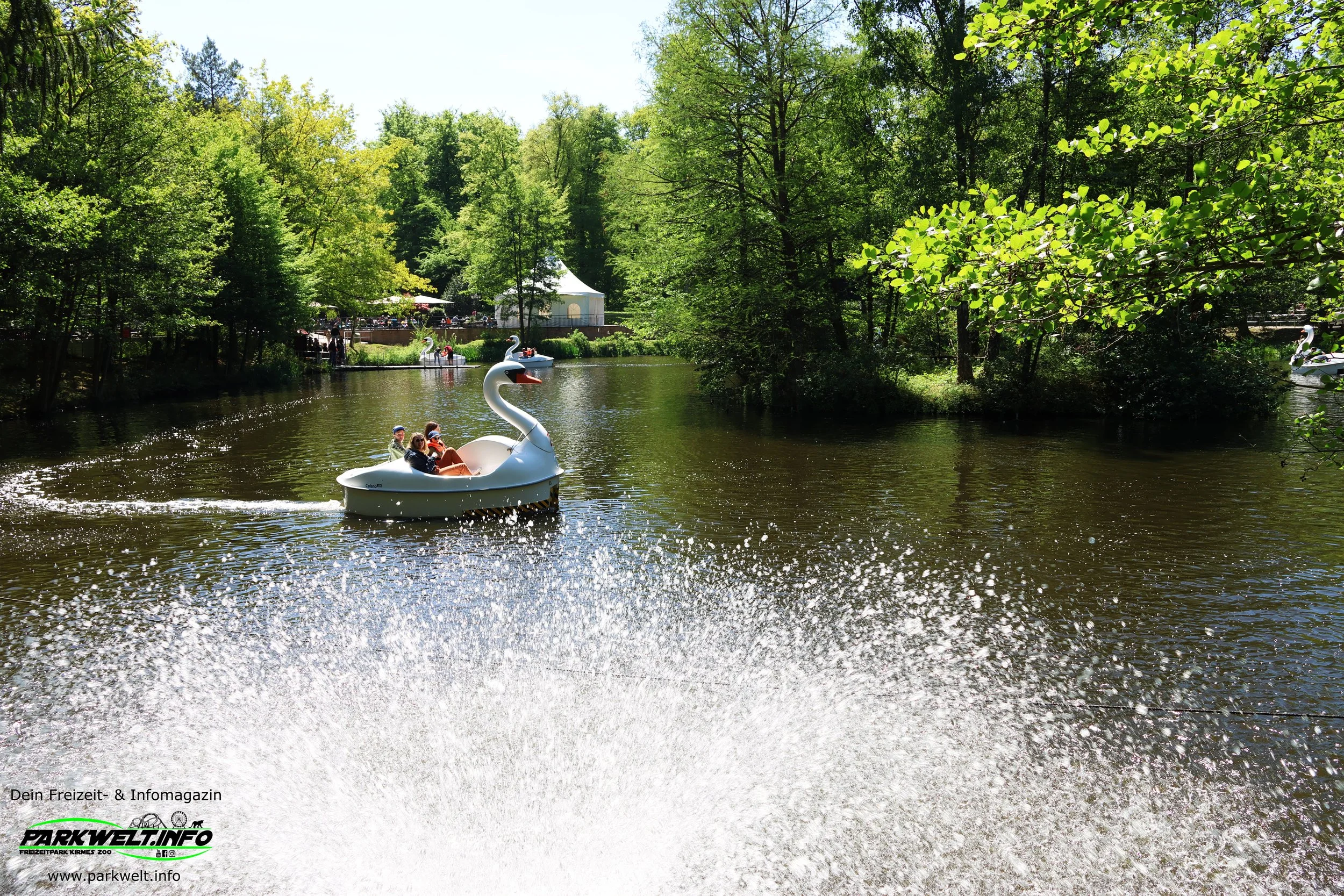 Schwanentretboote Tretboot Wasserfahrt Kurpfalz Park Wachenheim Weinstraße Freizeitpark Wildpark Themepark Park Plan Guide Adresse Preise Attraktionen Fahrgeschäfte Achterbahn