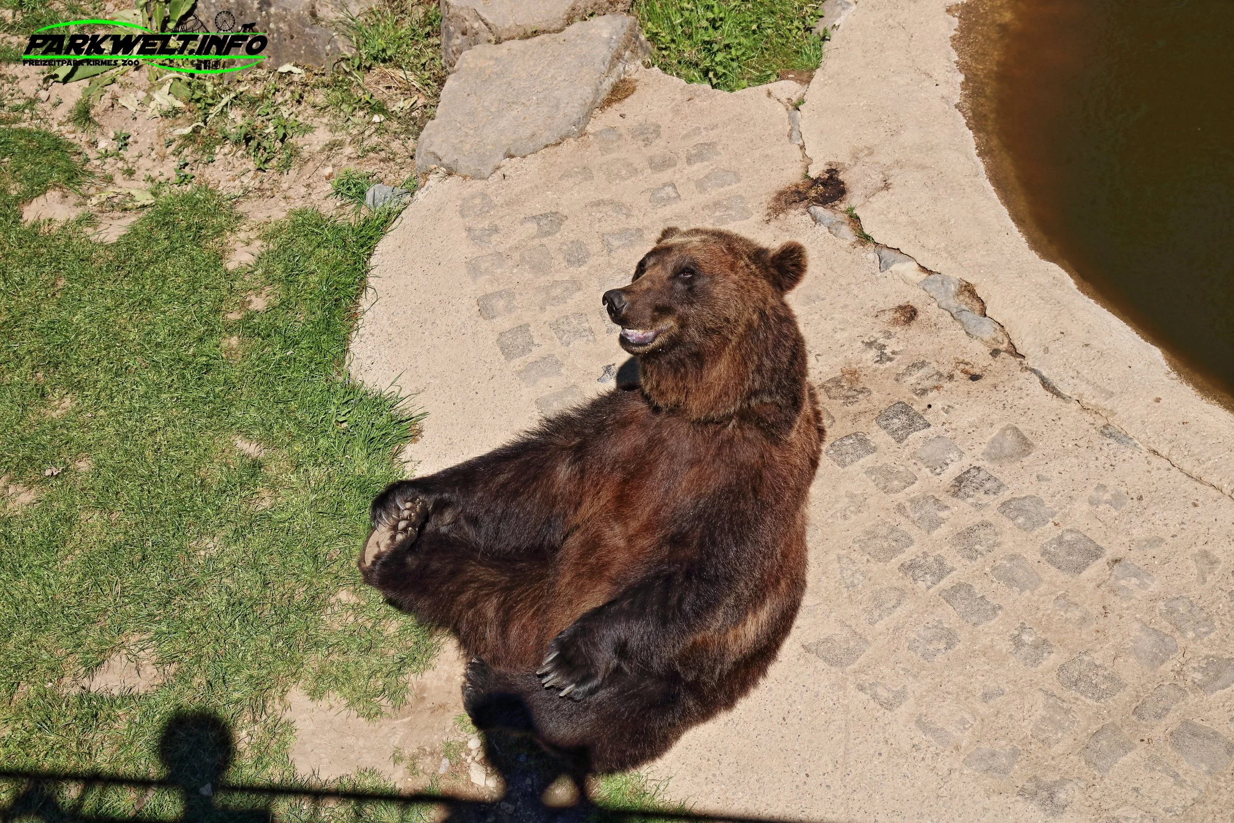 klotti Park klotten wildpark freizeitpark wild attraktionen tiere