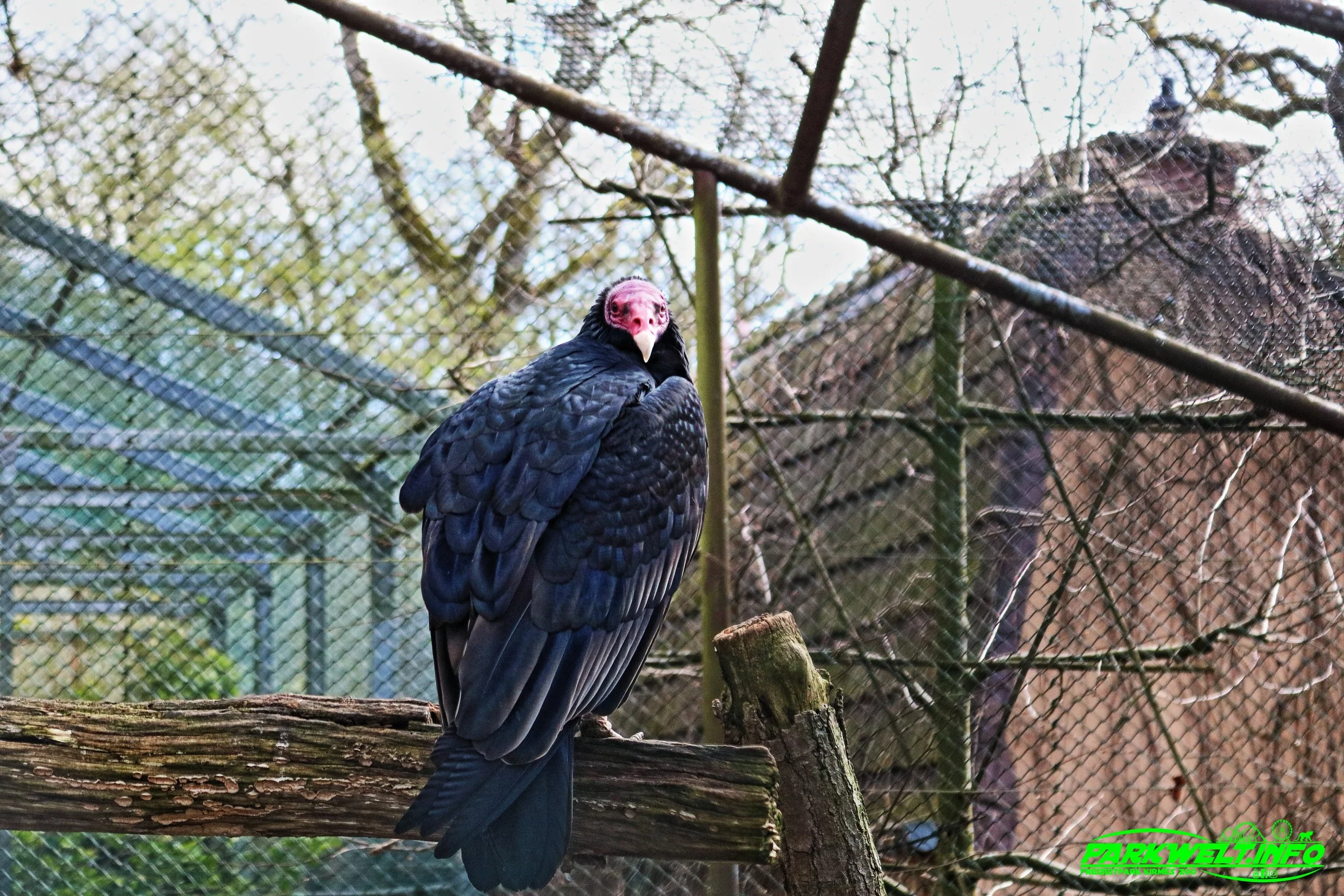Parc Merveilleux Tierpark Zoo Bettembourg Luxemburg Luxembourg Freizeitpark Themepark Größter Tropenhaus Ausflugsziel Familie Kinder Attraktionen Fahrgeschäfte