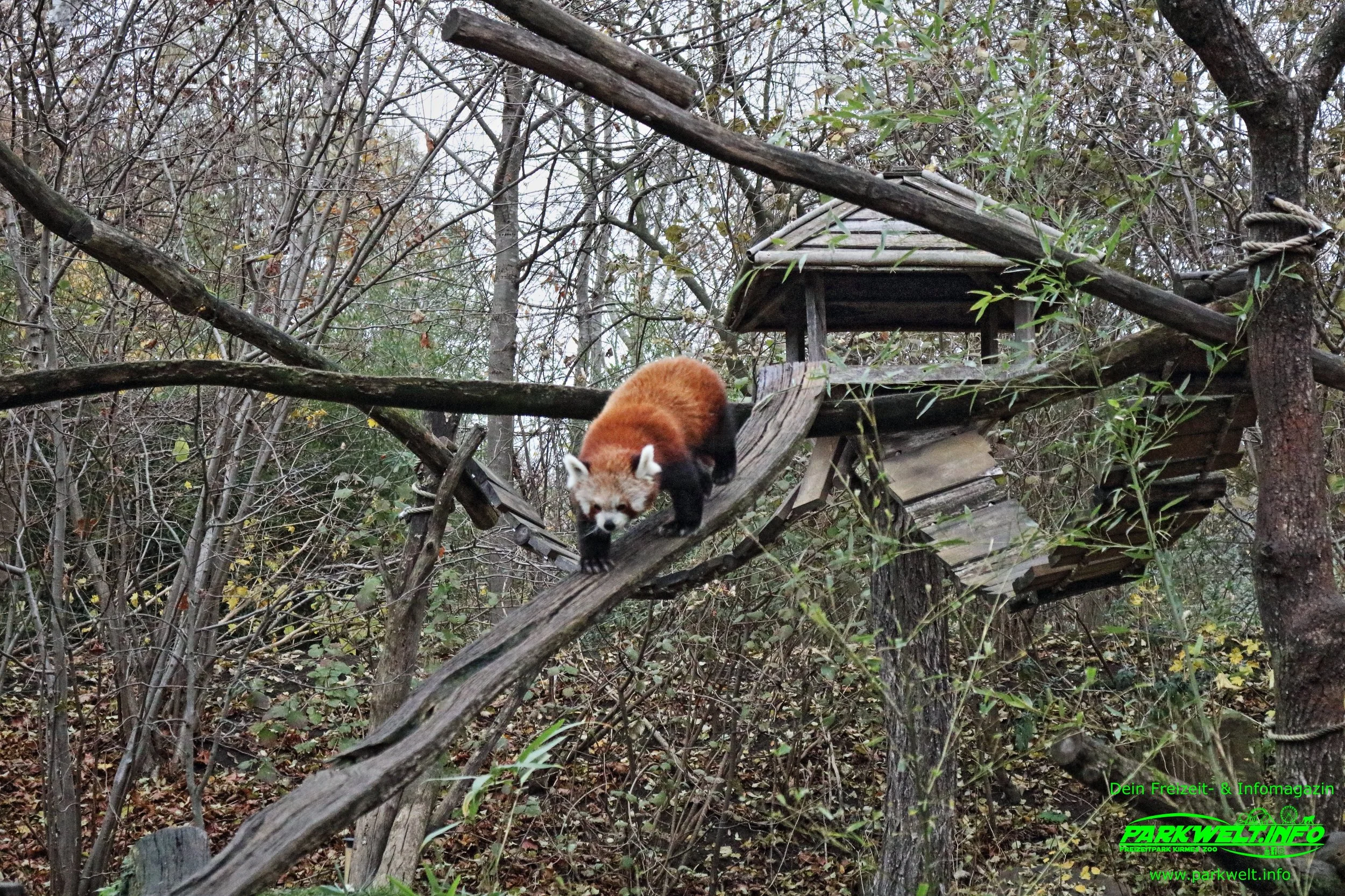 Zoom Erlebniswelt Gelsenkirchen Zoo Tierpark Nordrhein Westfalen Info Alaska Asien Afrika Adresse Familie  Bilder Park Plan Map Guide