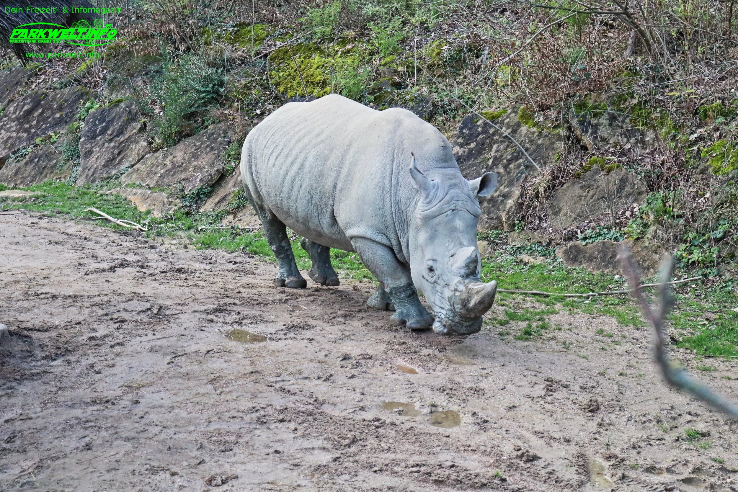 Zoo Amneville Tierpark Frankreich Tiere Ausflug Park Plan Plan du Parc Öffnungszeiten Adresse Parkplatz Familie 