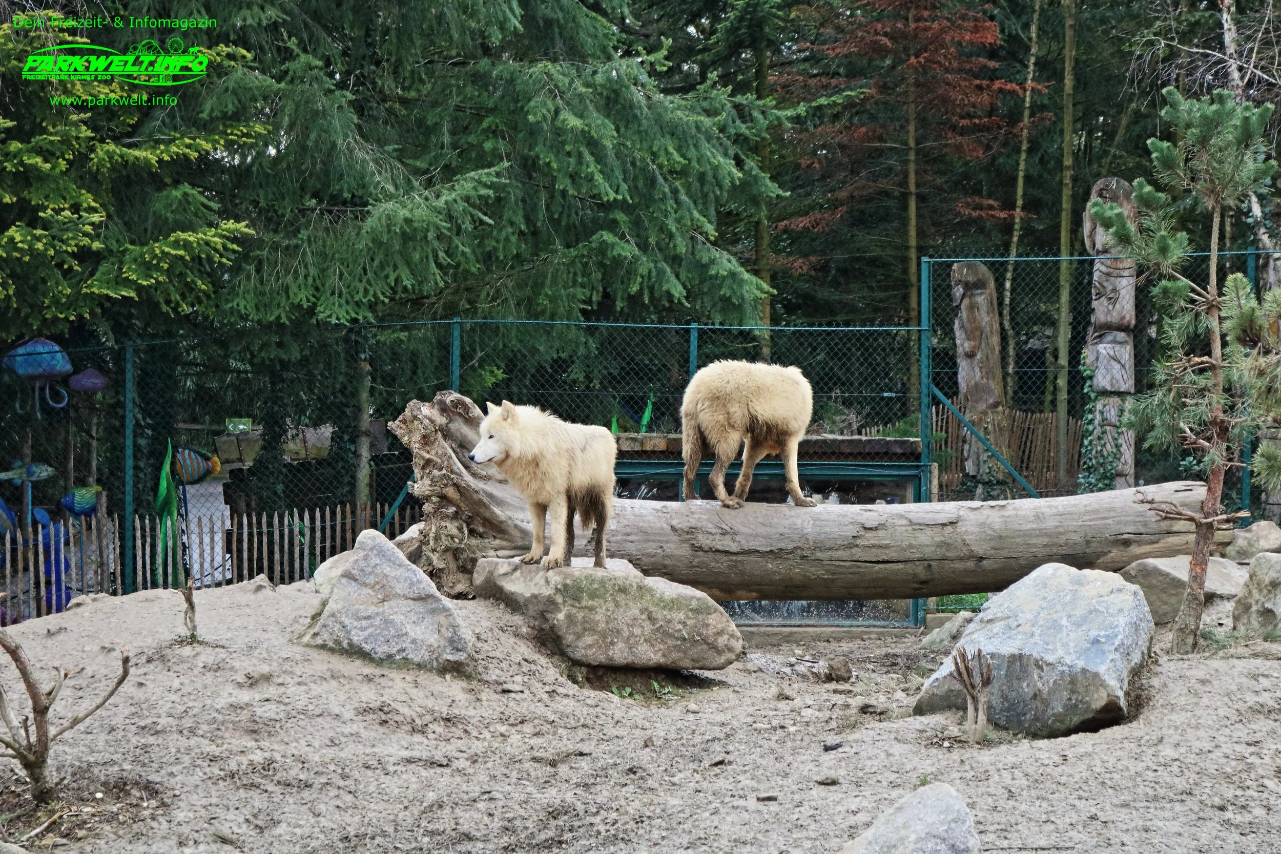 Zoo Amneville Tierpark Frankreich Tiere Ausflug Park Plan Plan du Parc Öffnungszeiten Adresse Parkplatz Familie 