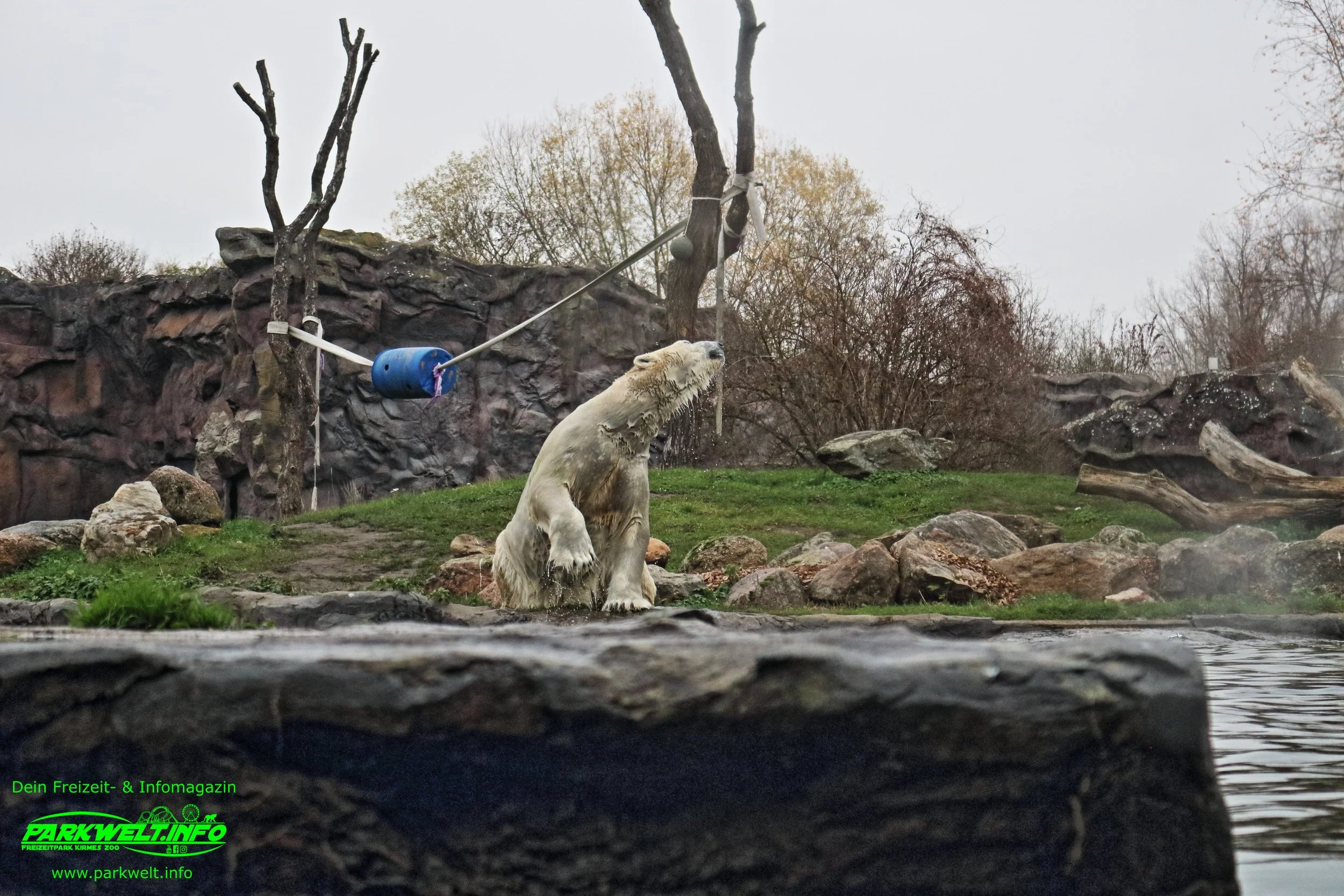 Zoom Erlebniswelt Gelsenkirchen Zoo Tierpark Nordrhein Westfalen Info Alaska Asien Afrika Adresse Familie  Bilder Park Plan Map Guide