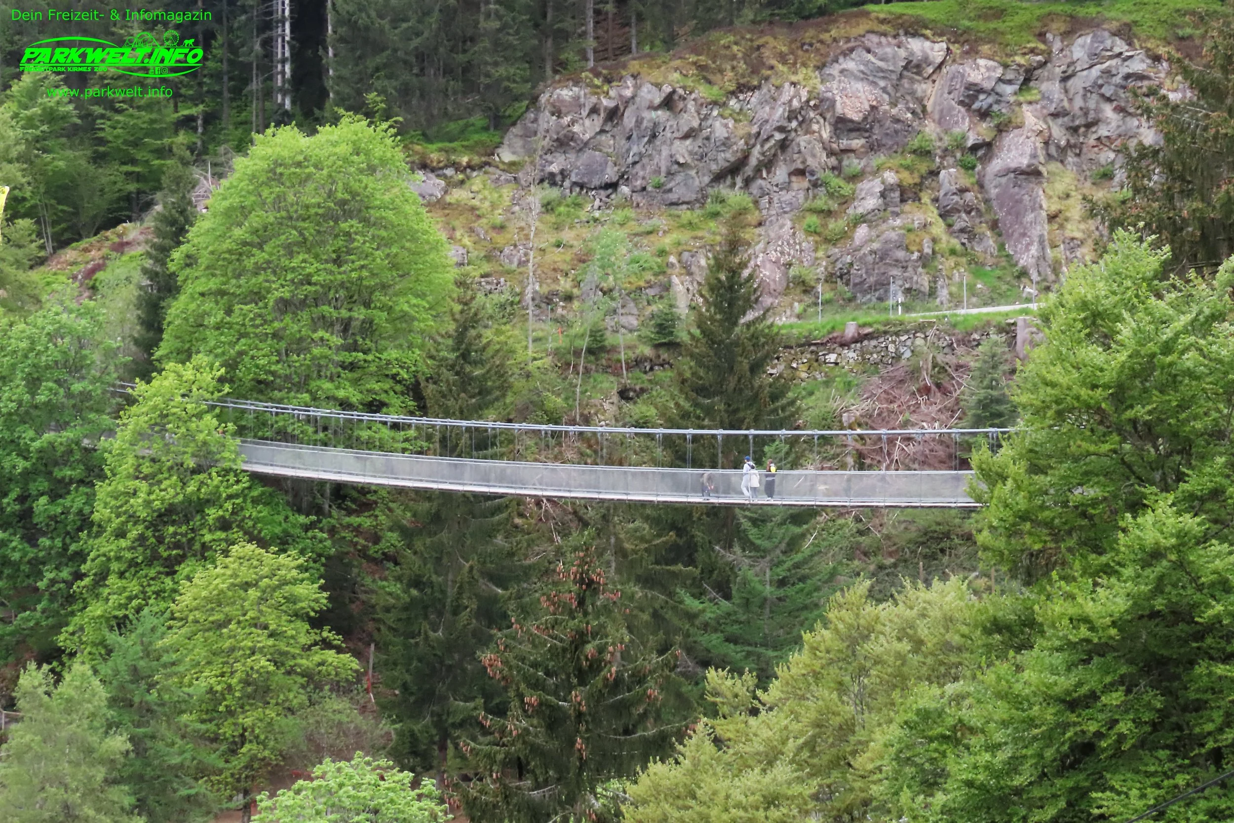 Steinwasen Park Baden Württemberg Freizeitpark Themepark Wildpark  Oberried Attraktionen Fahrgeschäfte Achterbahn Rodelbahn Infos Info News Schwarzwald Seilbahn 