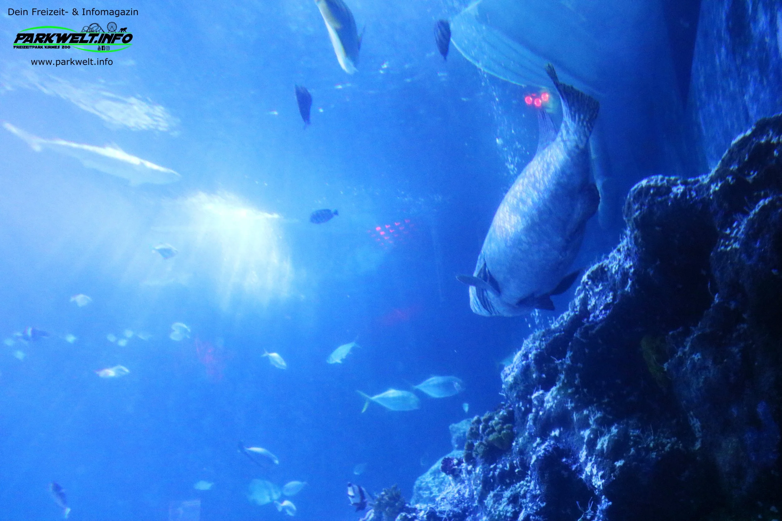 Sea Life Oberhausen Nordrhein Westfalen Aquarium Ausflugsziel Bilder Parkplan Park Plan map guide Adresse Anfahrt Info Preise Ticket Centro