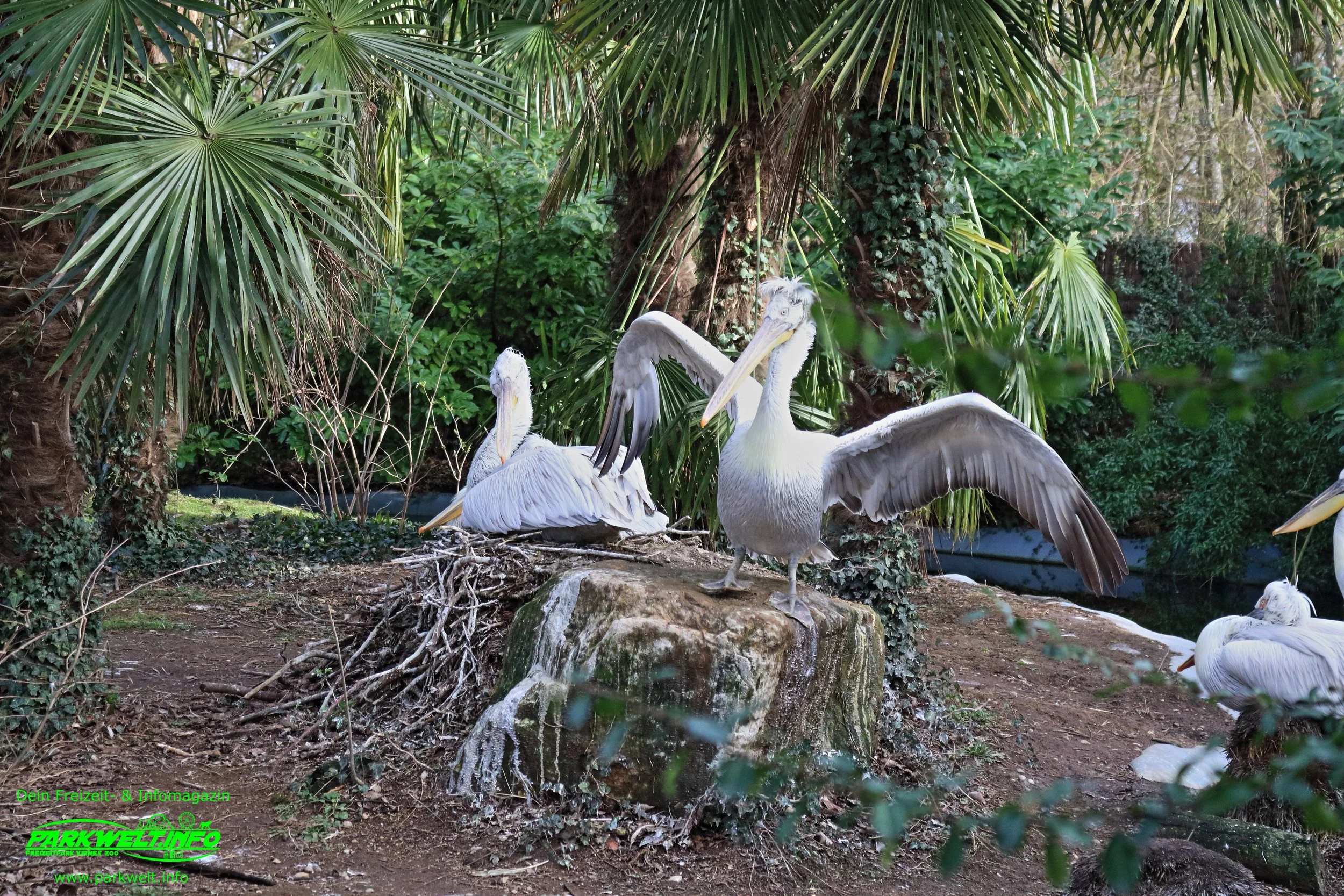 Zoo Amneville Tierpark Frankreich Tiere Ausflug Park Plan Plan du Parc Öffnungszeiten Adresse Parkplatz Familie