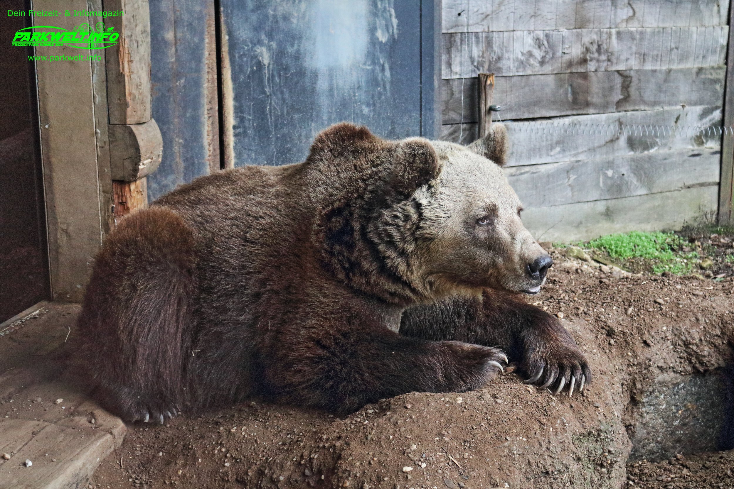 Zoo Amneville Tierpark Frankreich Tiere Ausflug Park Plan Plan du Parc Öffnungszeiten Adresse Parkplatz Familie 