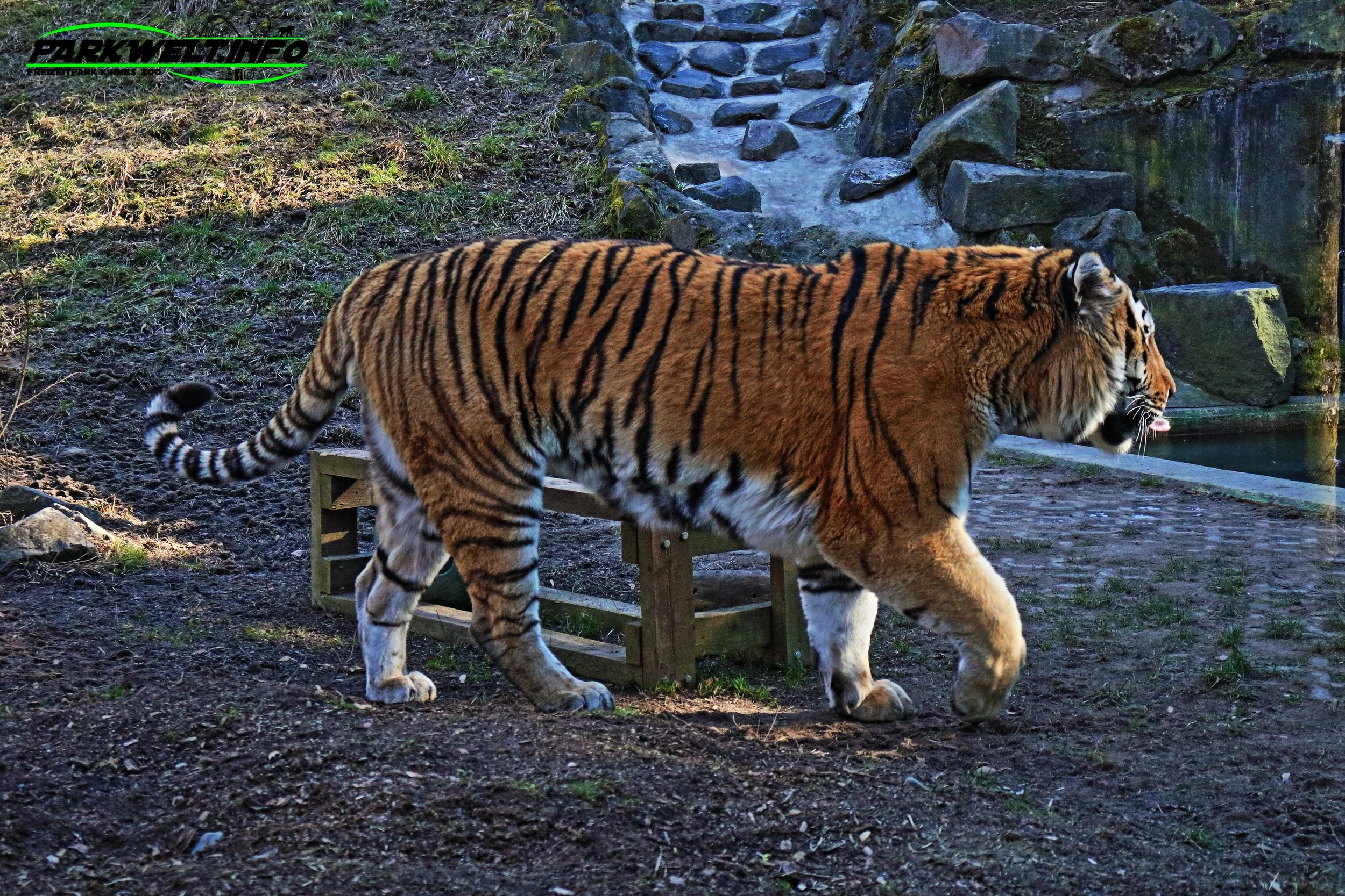 Zoo Neuwied Tiere Reptilien Aquarium Wildpark Rheinland Pfalz Park Plan Map Guide Infos Bilder Preise Öffnungszeiten Anfahrt Adresse