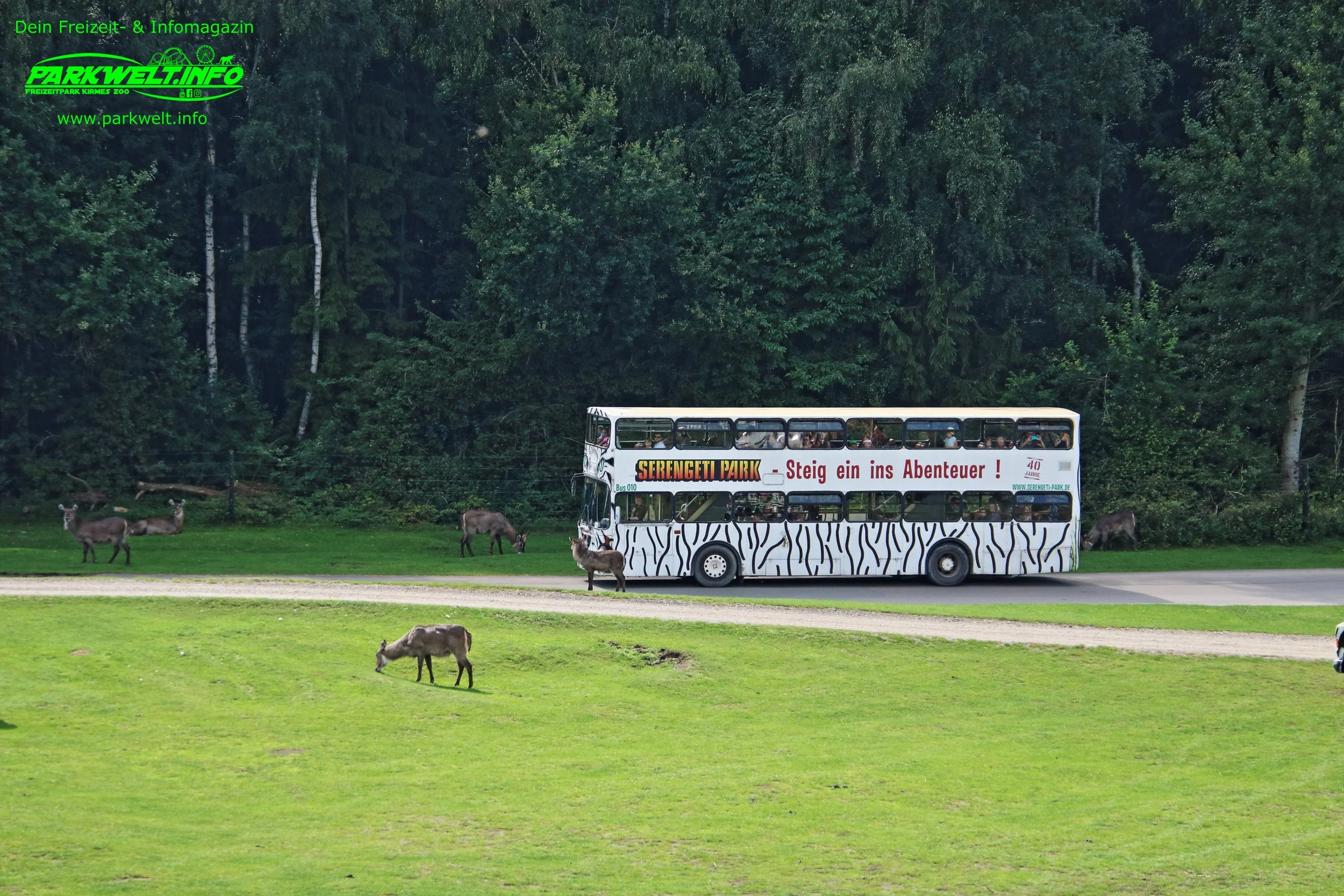 Serengeti Park Hodenhagen Freizeitpark Themepark Amusementpark Attraktionen Tiere Wildtiere Safari Achterbahn Rollercoaster Coaster Safaripark Info Map Guide Park Plan