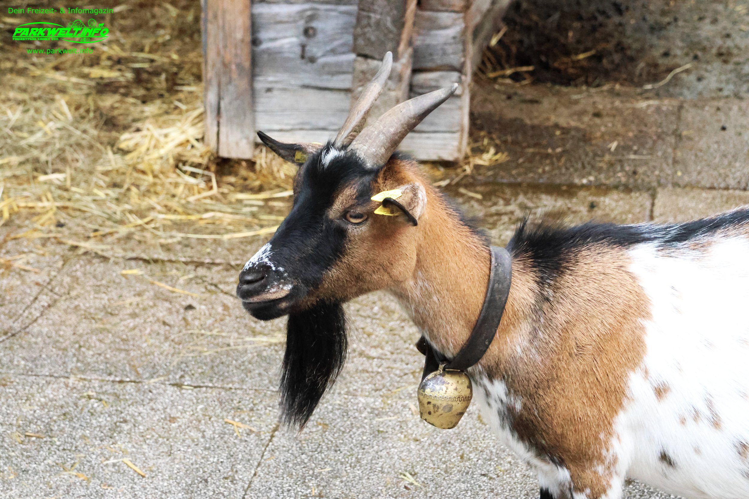 Freizeitpark Familienland Pillersee – Familienabenteuer in den Tiroler Alpen