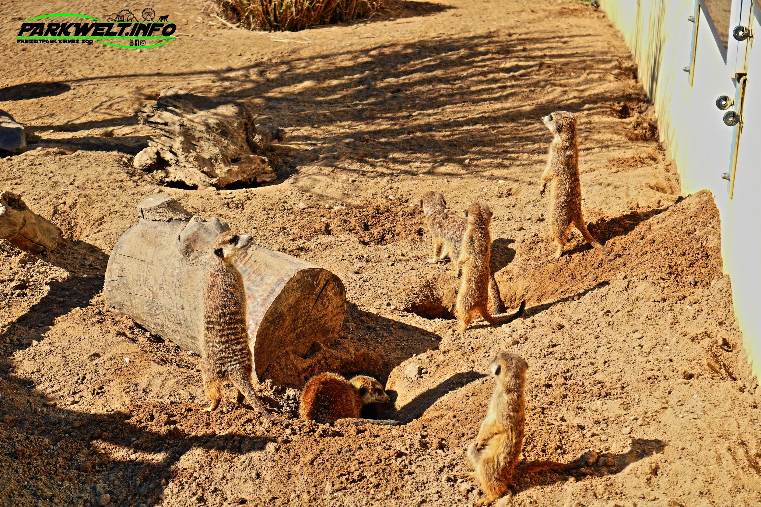 Zoo Neuwied Tiere Reptilien Aquarium Wildpark Rheinland Pfalz Park Plan Map Guide Infos Bilder Preise Öffnungszeiten Anfahrt Adresse 