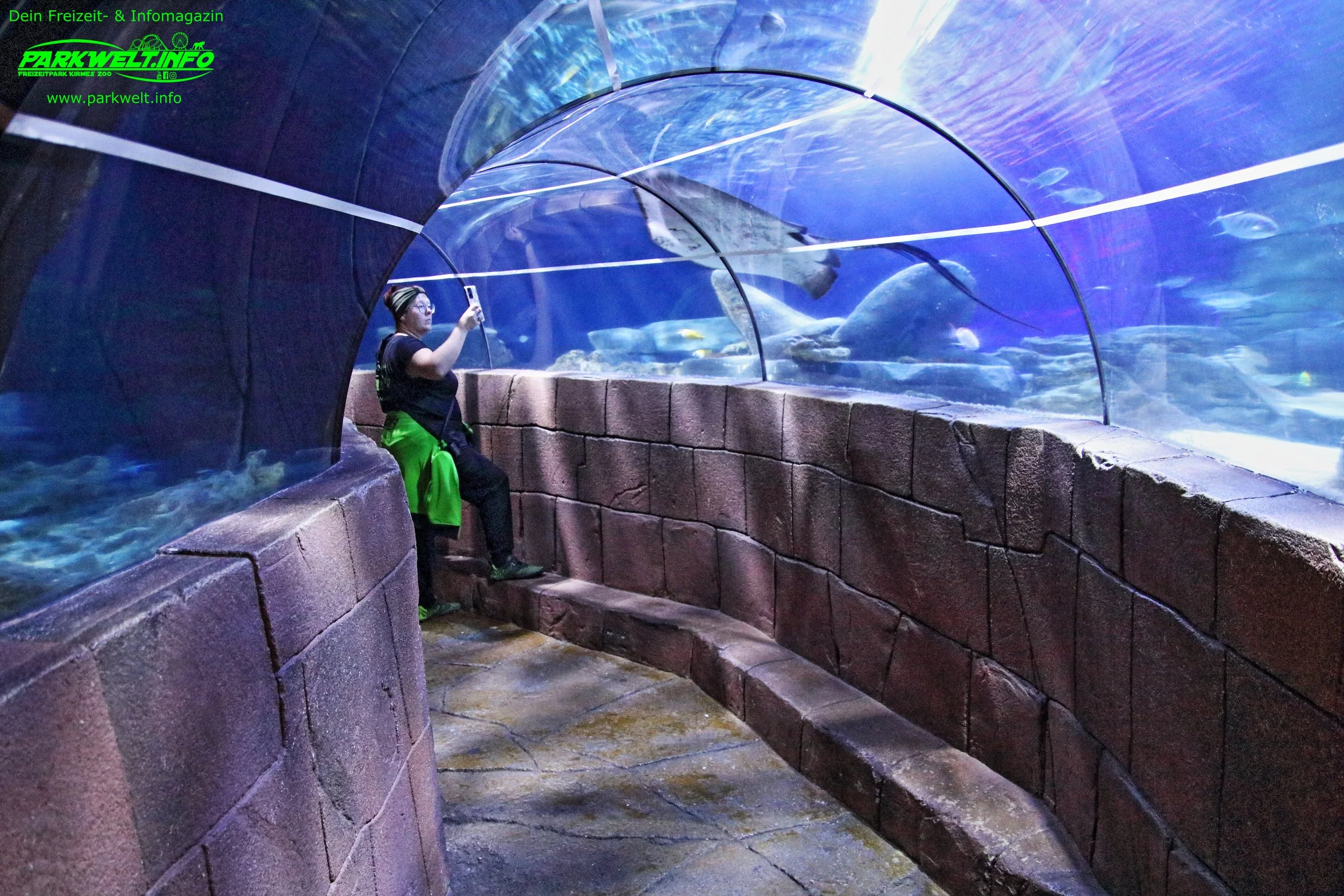Sea Life Hannover Aquarium Ausflugsziel Fische Niedersachsen Merlin Familienzeit Rabatt Attraktionen Park Plan Bilder Anfahrt Adresse