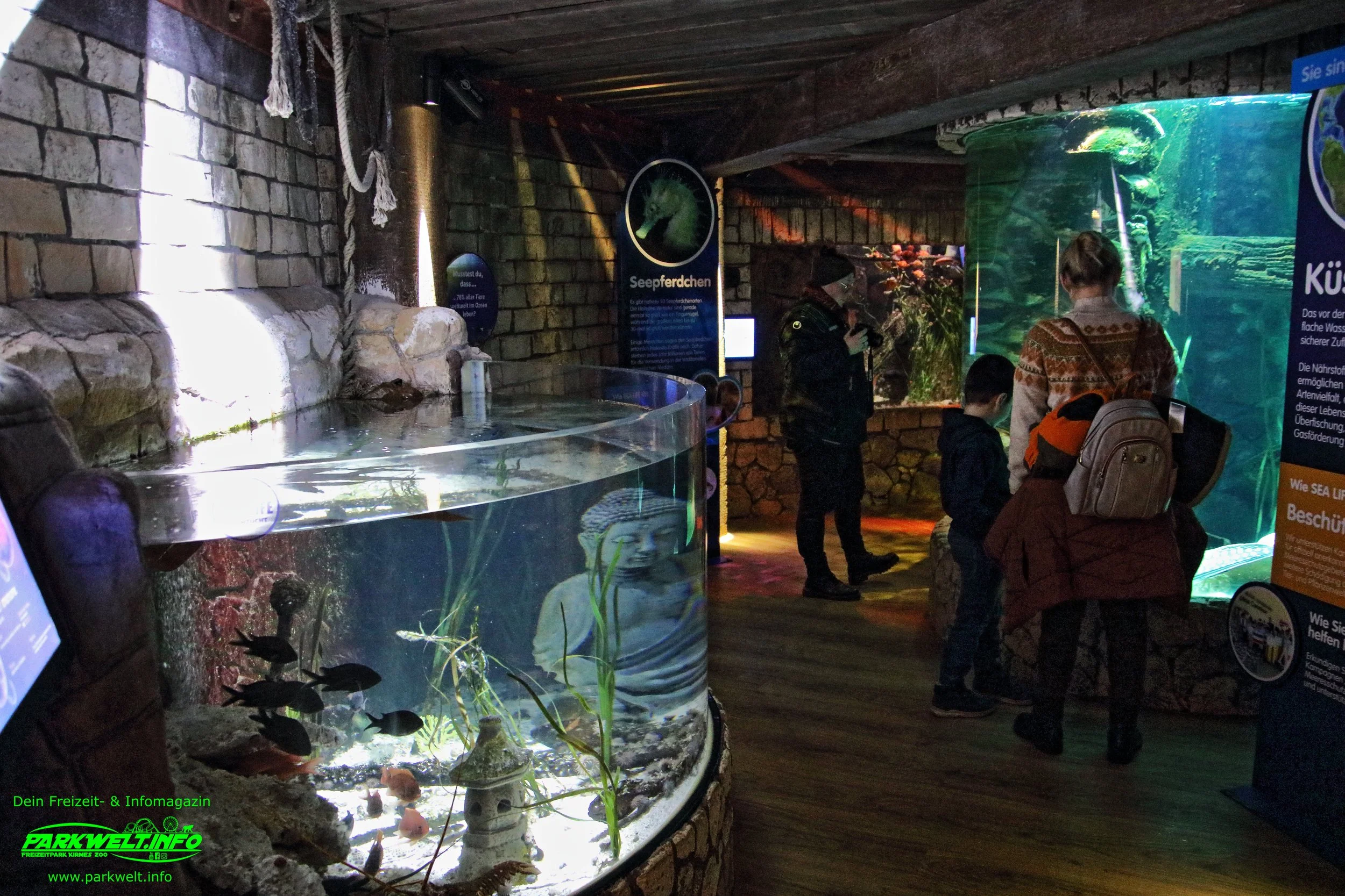 sea life speyer rheinland pfalz ausflugsziel aquarium info news bilder adresse merlin rabatt parkplatz adresse preise