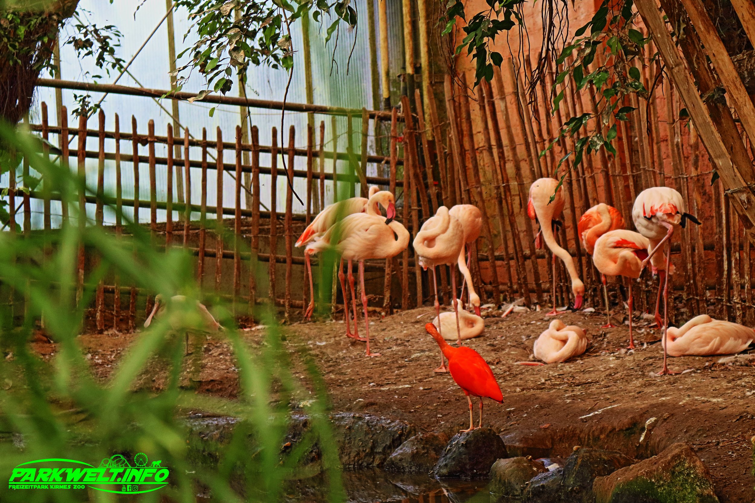 Mondo Verde Landgraaf Niederlande Holland Freizeitpark Zoo Wildpark Weltpark Gärten Blumen Attraktionen Fahrgeschäfte Infos Bilder Attractiepark Achterbahn