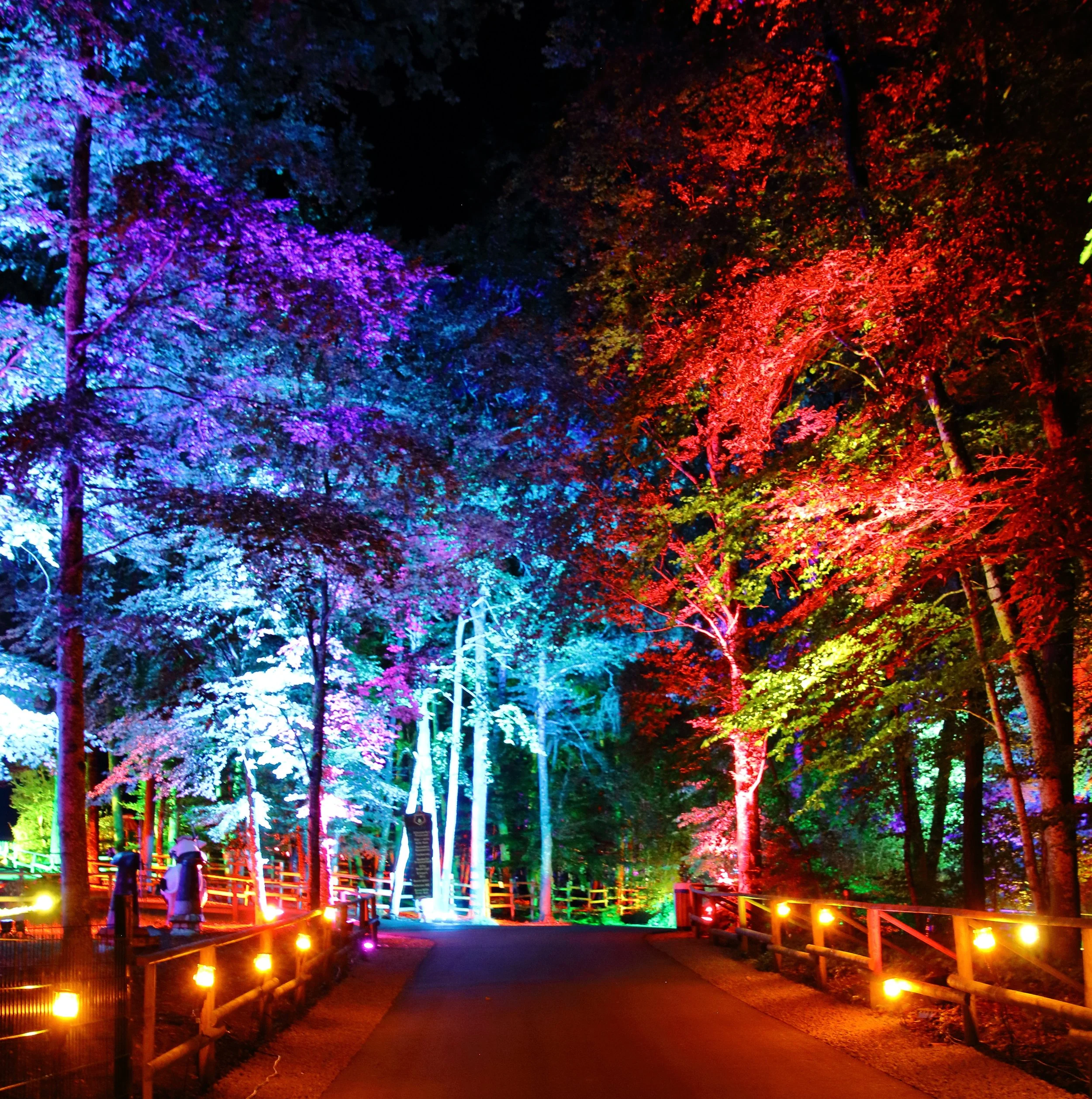 Freizeitpark Eifelpark Tiere Attraktionen Info Achterbahn Event