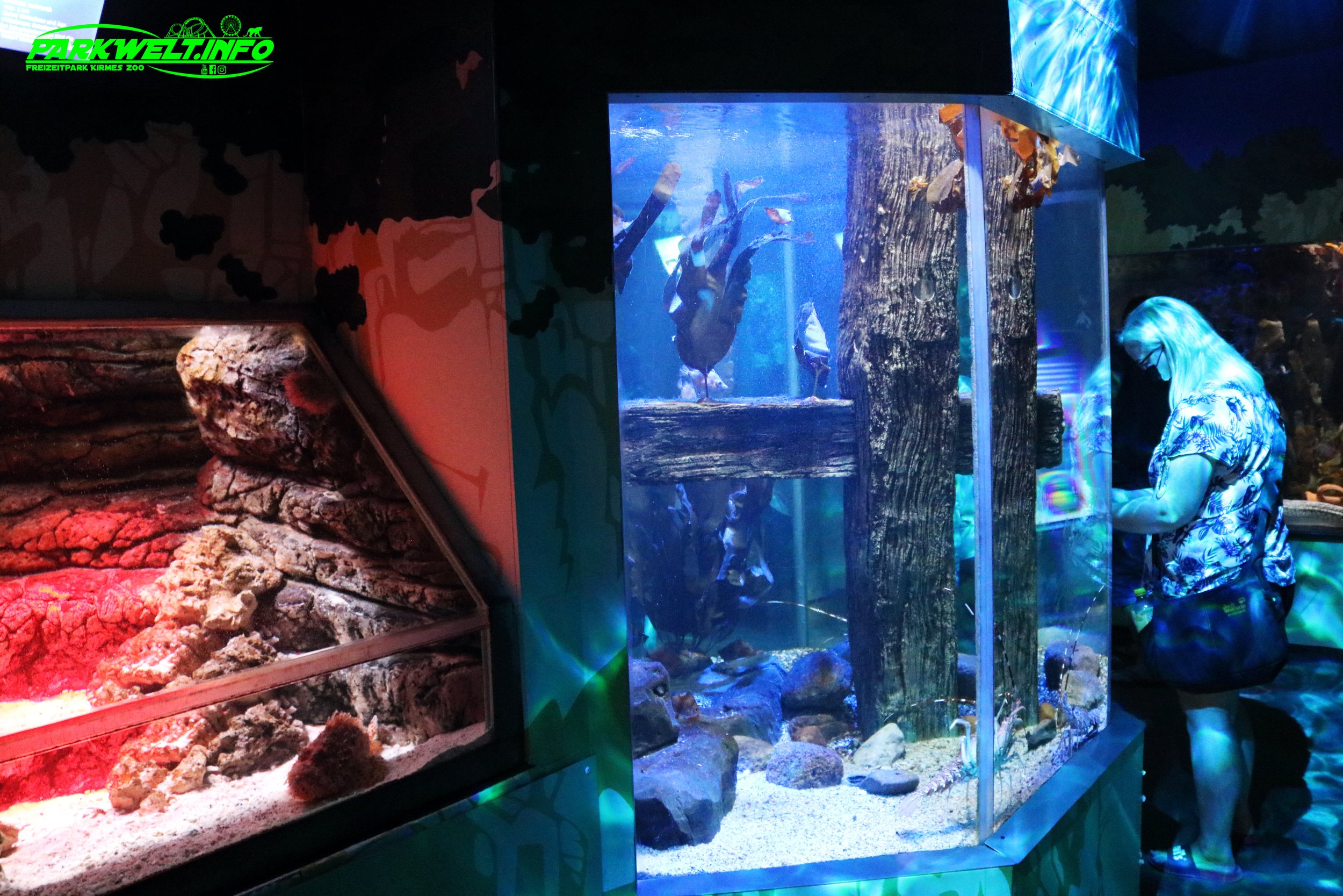 Sea Life Timmendorfer Strand Aquarium Infos Bilder Anfahrt Parkplatz Adresse Attraktionen Preise