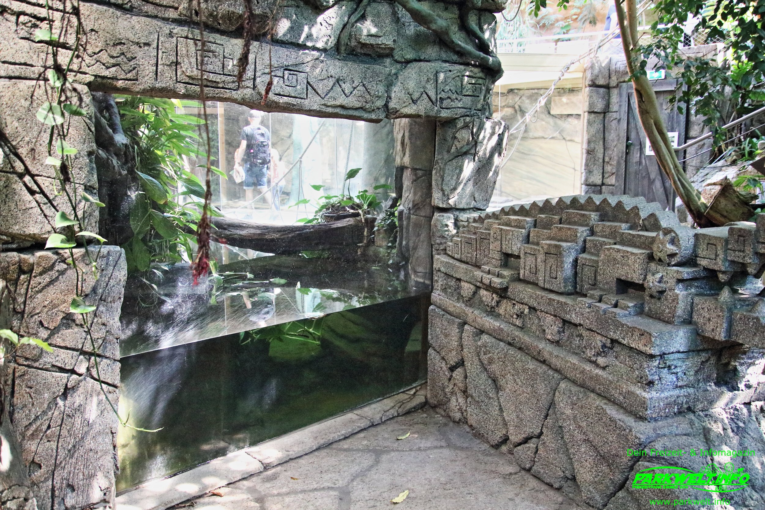 Sea Life Hannover Aquarium Ausflugsziel Fische Niedersachsen Merlin Familienzeit Rabatt Attraktionen Park Plan Bilder Anfahrt Adresse 