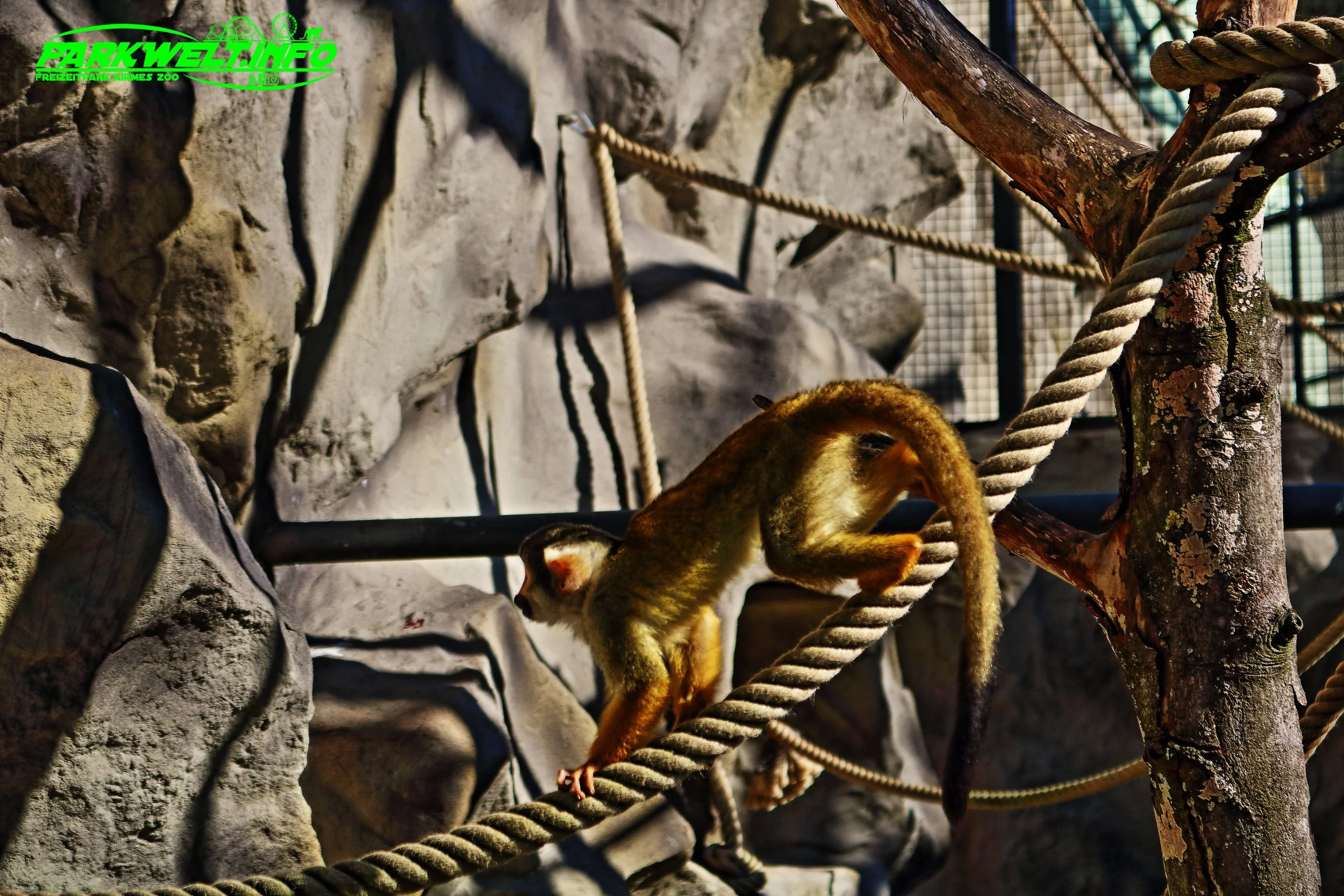 Zoo Neuwied Tiere Reptilien Aquarium Wildpark Rheinland Pfalz Park Plan Map Guide Infos Bilder Preise Öffnungszeiten Anfahrt Adresse 