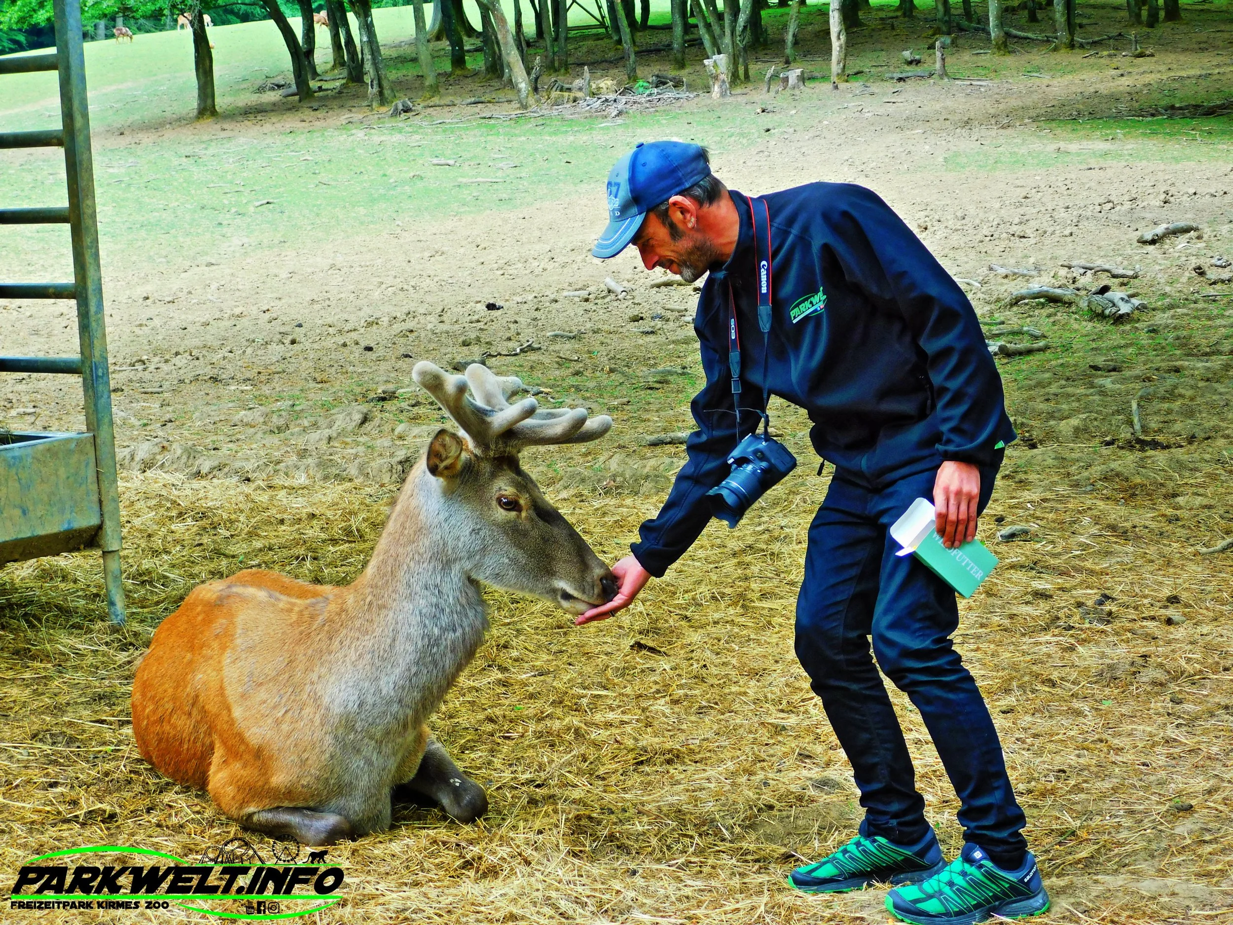 Wild Erlebnispark Daun Wildpark Wildsafari Wildtiere Zoo Freizeitpark Daun Tiere Anfahrt Sommerrodelbahn Auto Affenschlucht Map Guide Adresse Preise Park Plan Fotos Video Bilder Attraktionen