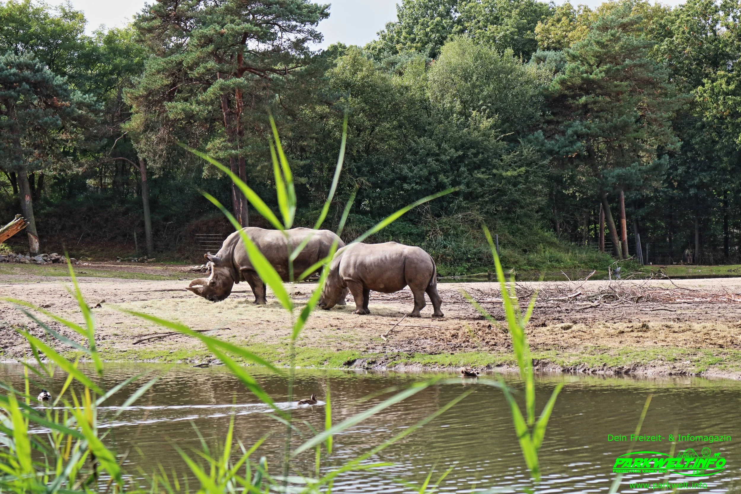 Burgers Zoo Arnhein Niederlande Holland Tierpark Wildpark Tiere Zoo Wild Tiere Info Park Plan Map Guide Anfahrt Adresse