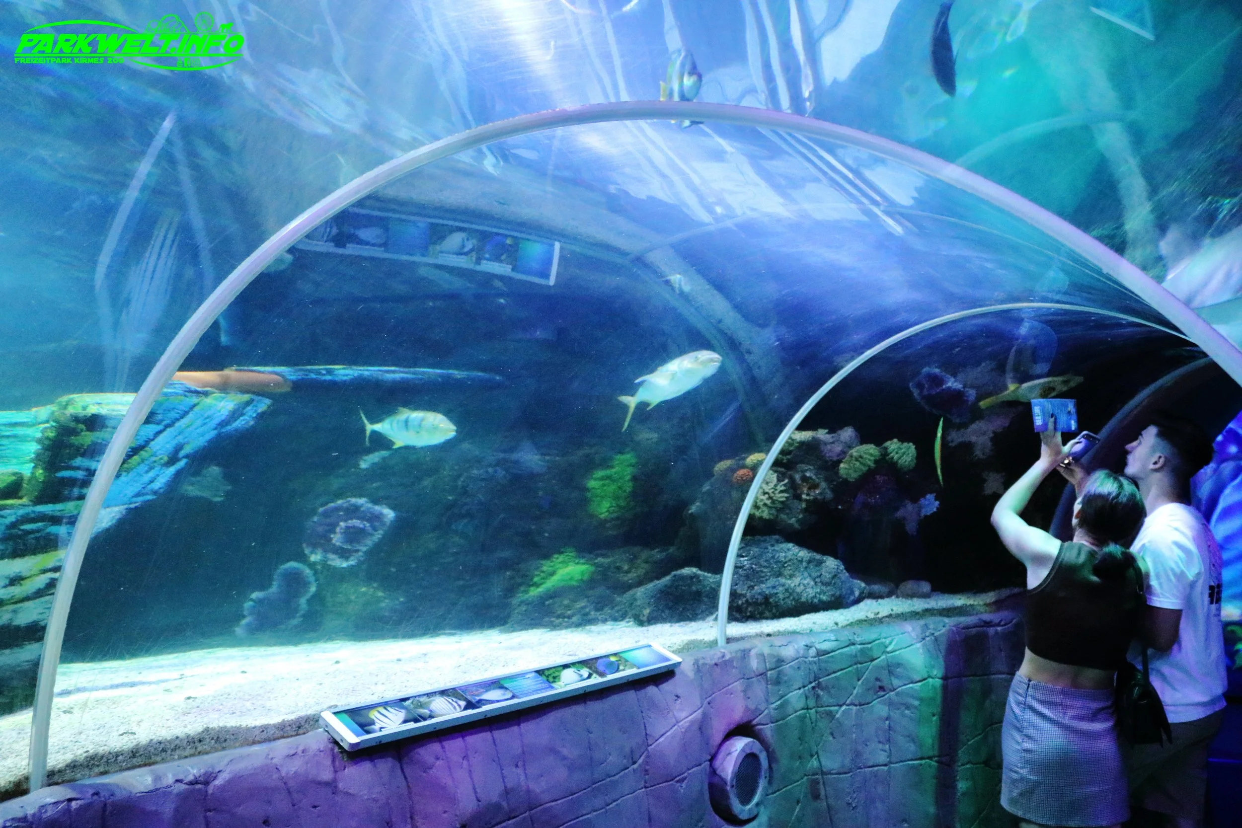 Sea Life Timmendorfer Strand Aquarium Infos Bilder Anfahrt Parkplatz Adresse Attraktionen Preise