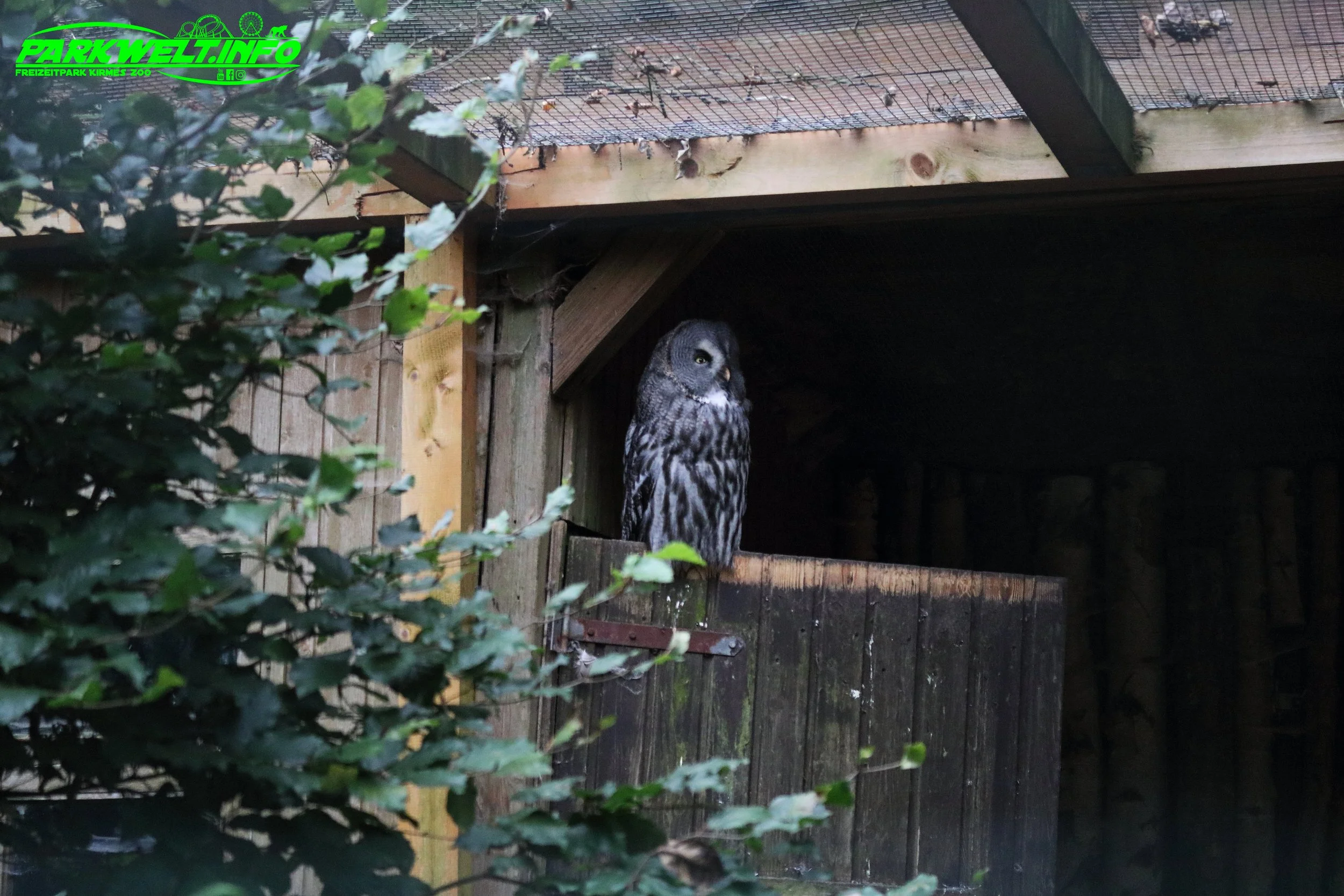 Affen und Vogelpark Eckenhagen Tierpark Wildpark Zoo Nordrhein Westfalen Zoo Wildpark Park Plan Info Anfahrt Bilder Fotos Attraktionen Fahrgeschäfte Vögel Affe 