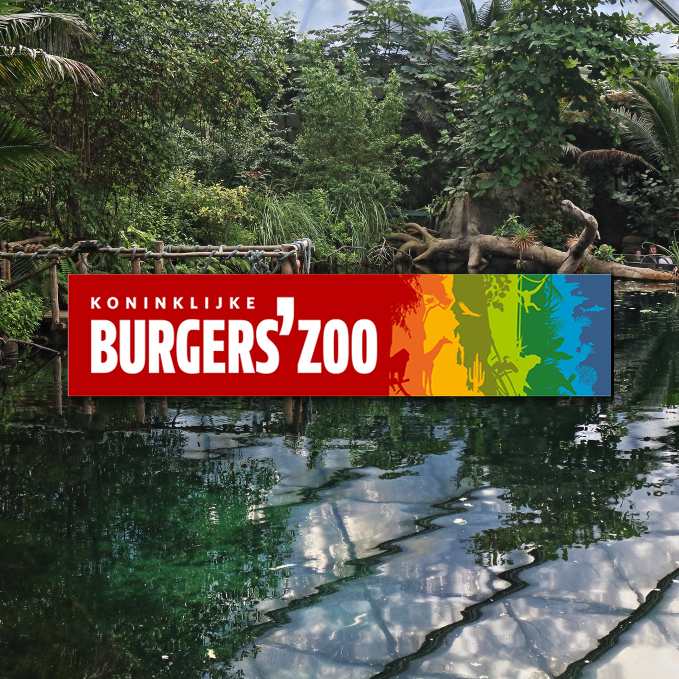 Koninklijke Burgers' Zoo in den Niederlanden Burgers Zoo Arnhein Niederlande Holland Tierpark Wildpark Tiere Zoo Wild Tiere Info Park Plan Map Guide Anfahrt Adresse