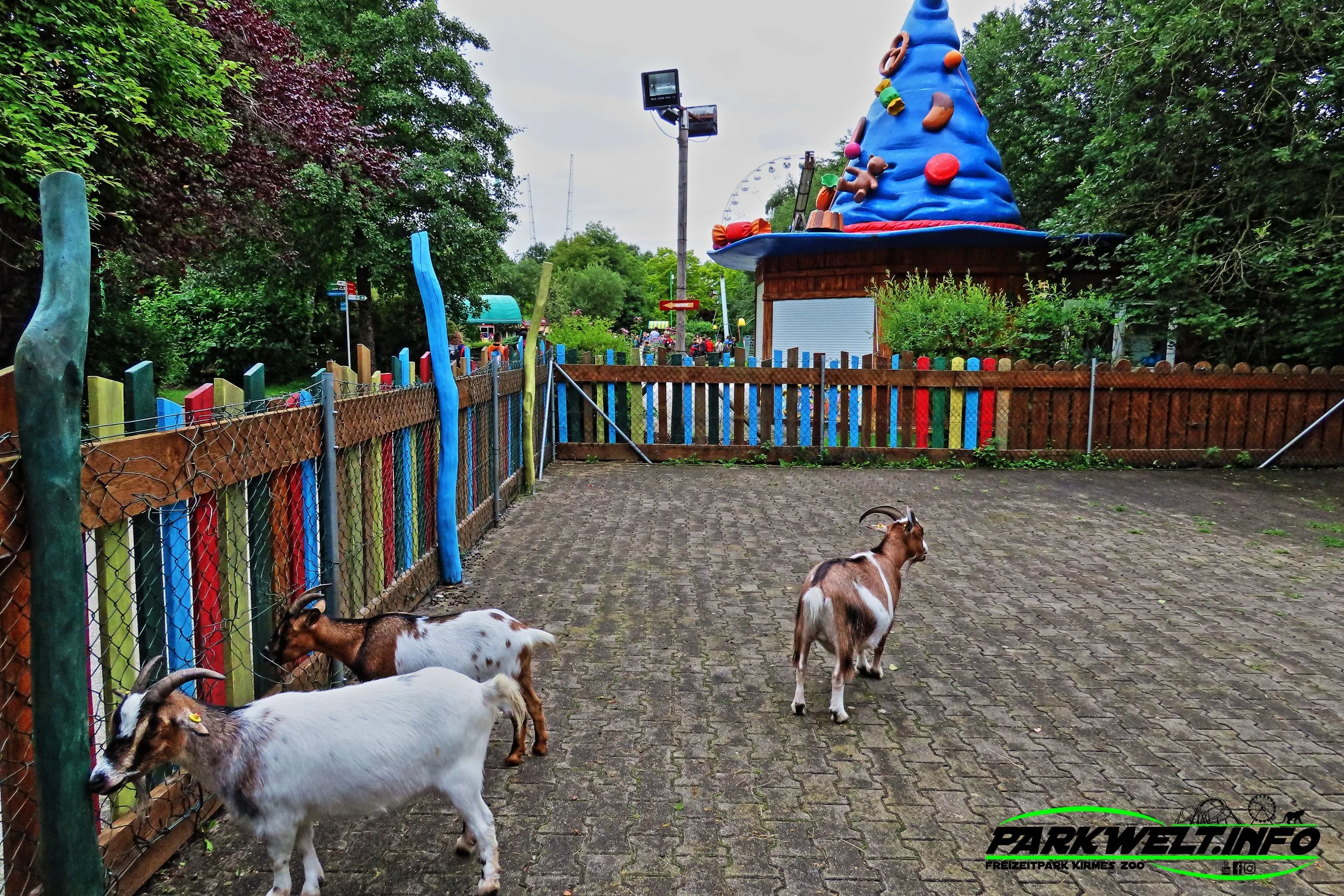 Allgäu Skyline Park, Skyline Park Bad Wörishofen, Bayerns größter Freizeitpark, Skyline Park Bilder, Skyline Park Fotos, Skyline Park Attraktionen, Skyline Park Achterbahnen, Skyline Park Fahrgeschäfte, Skyline Park Übersicht