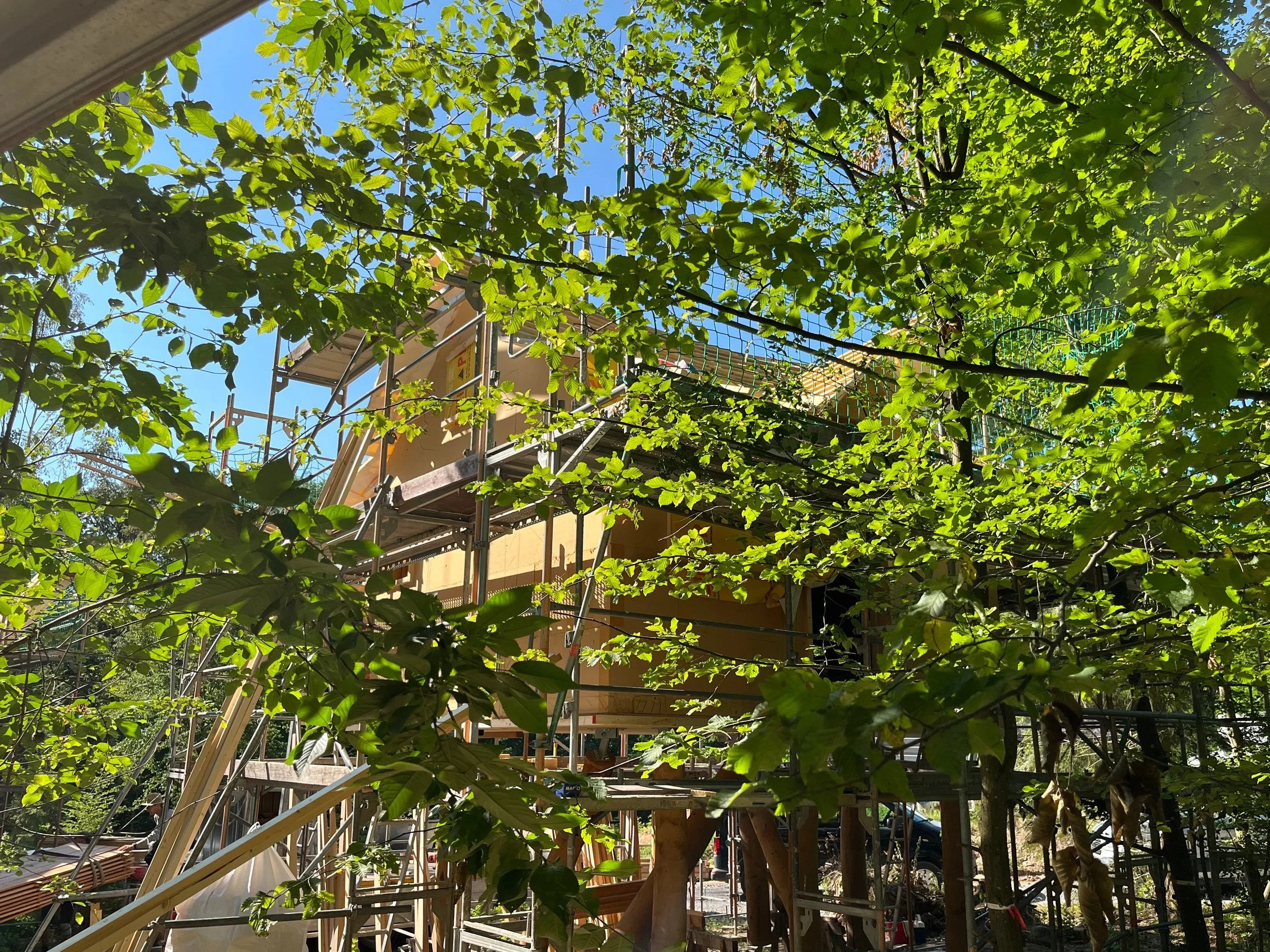 Tripsdrill investiert im Natur-Resort: 20 neue Baumhäuser   News