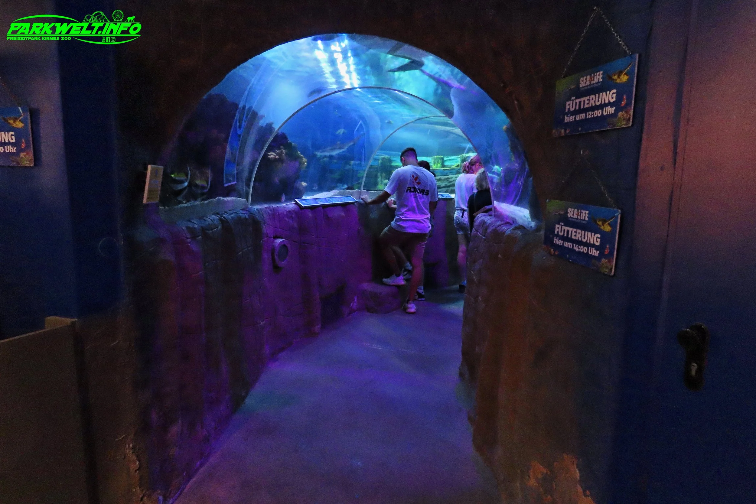 Sea Life Timmendorfer Strand Aquarium Infos Bilder Anfahrt Parkplatz Adresse Attraktionen Preise