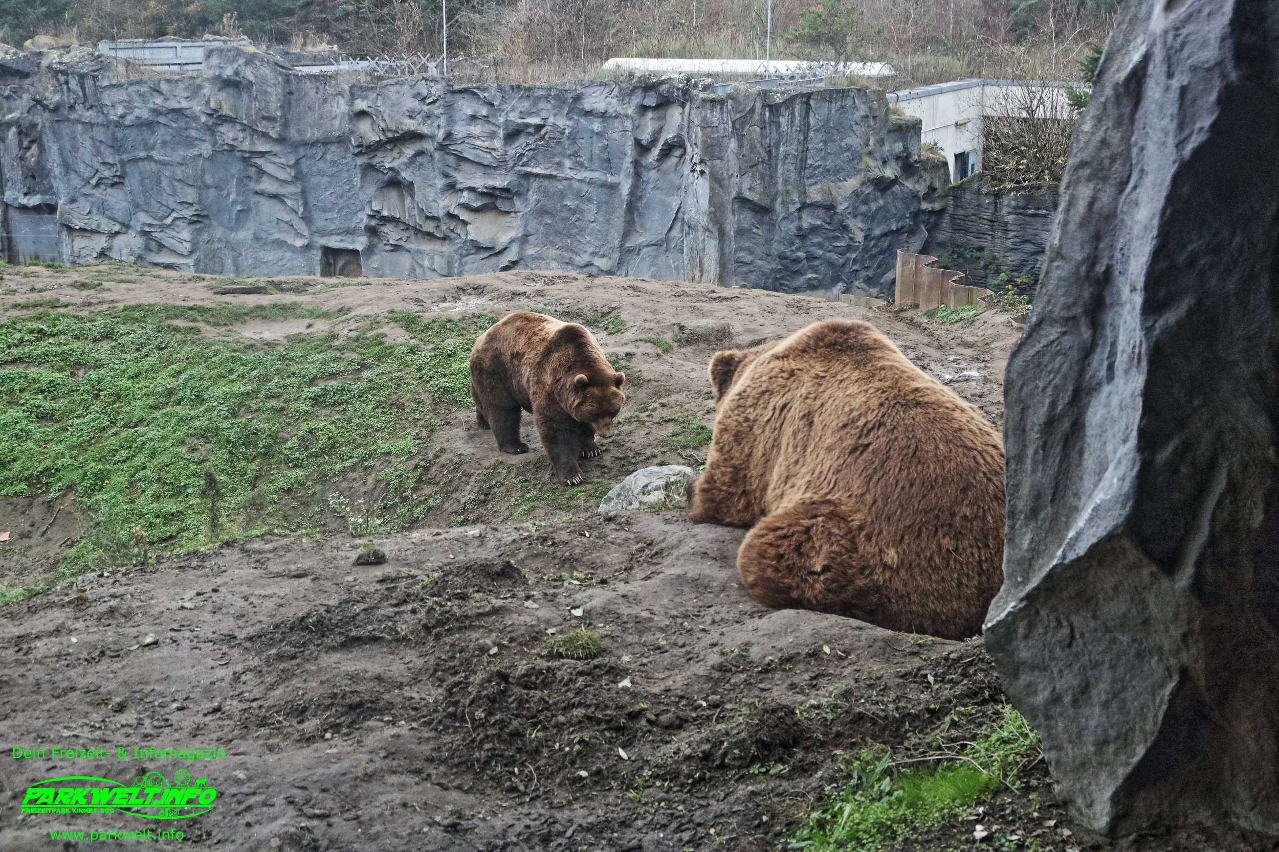 Zoom Erlebniswelt Gelsenkirchen Zoo Tierpark Nordrhein Westfalen Info Alaska Asien Afrika Adresse Familie  Bilder Park Plan Map Guide