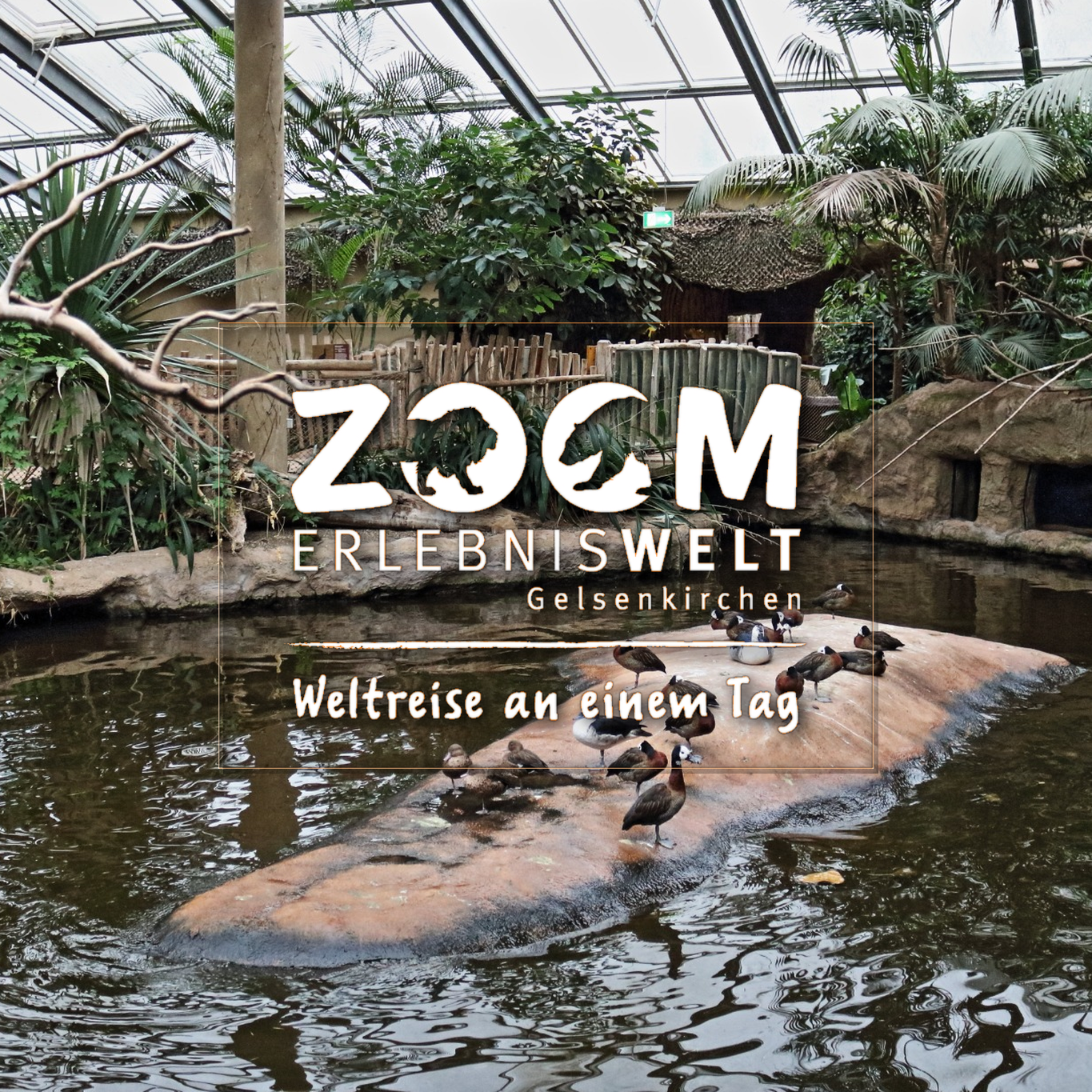 Zoo Erlebniswelt Gelsenkirchen, Weltreise an einem Tag' Zoom Erlebniswelt Gelsenkirchen Zoo Tierpark Nordrhein Westfalen Info Alaska Asien Afrika Adresse Familie  Bilder Park Plan Map Guide 