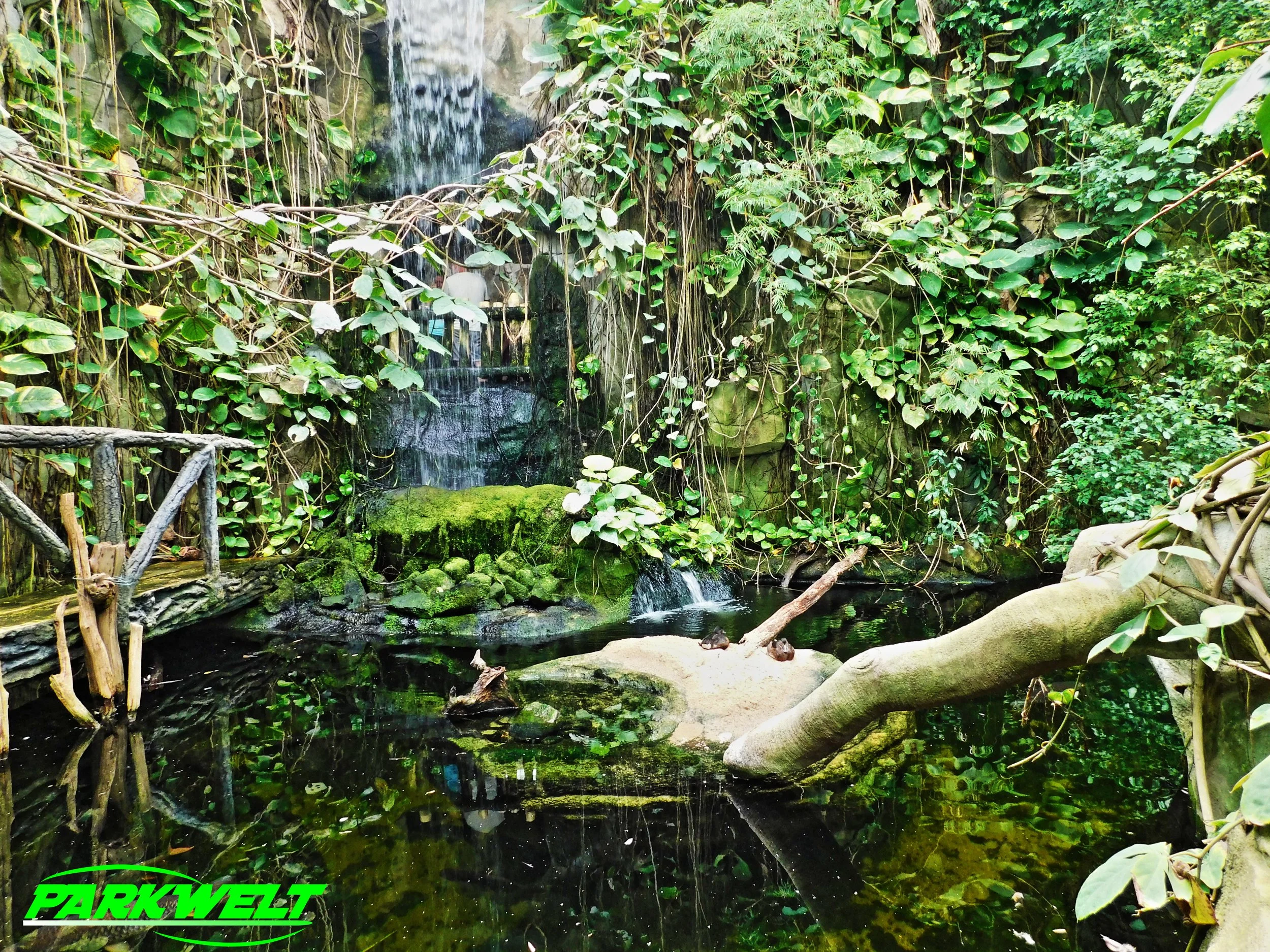 Kölner Zoo Tiere Wildpark Zoologischer Garten Reptilien Aquarium Köln Park Plan Guide Map Info Anfahrt Adresse
