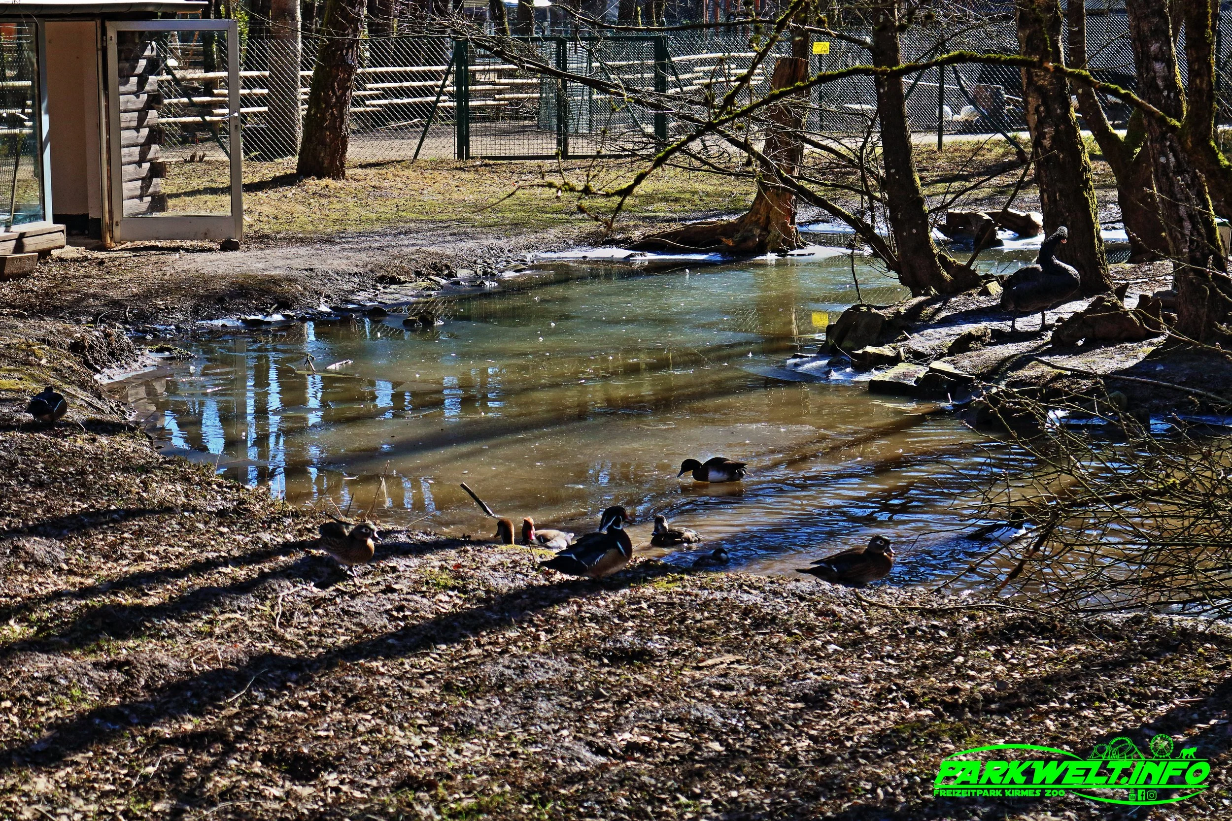 Eifel Zoo Wildpark Tiere Tierpark Lünebach Park Plan Info Adresse Anfahrt Info Map Guide Park Plan Fotos Bilder Attraktionen