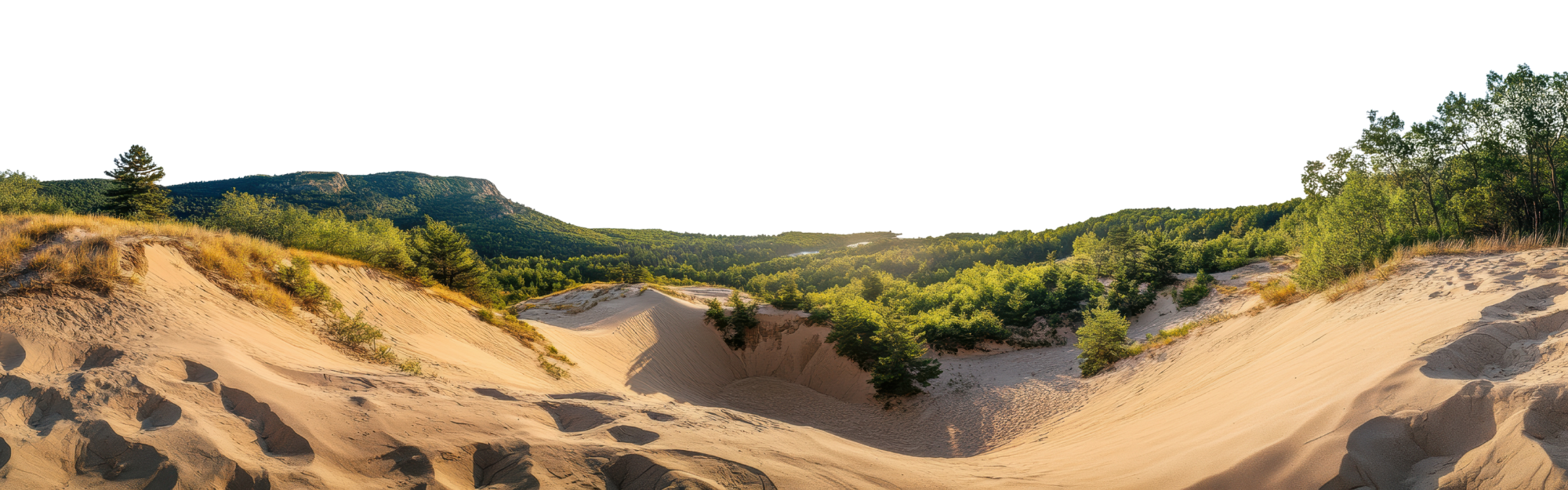 Panoramic view of a sandy desert landscape with small shrubbery and trees, green forested hills, and a mountain in the distance under a clear blue sky.