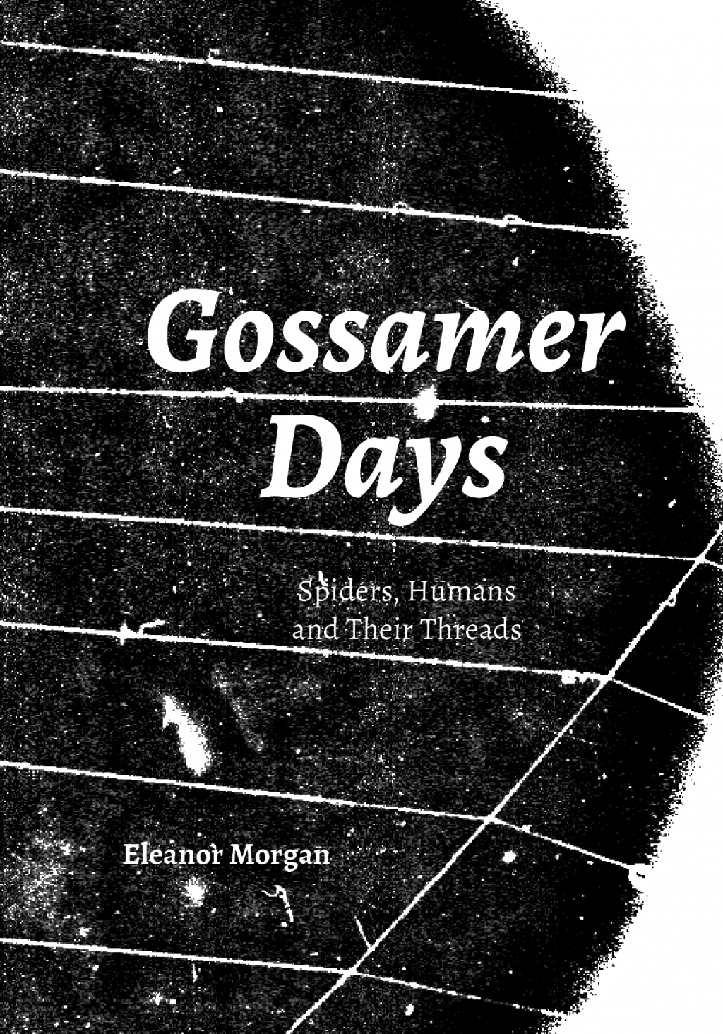 Gossamer Days