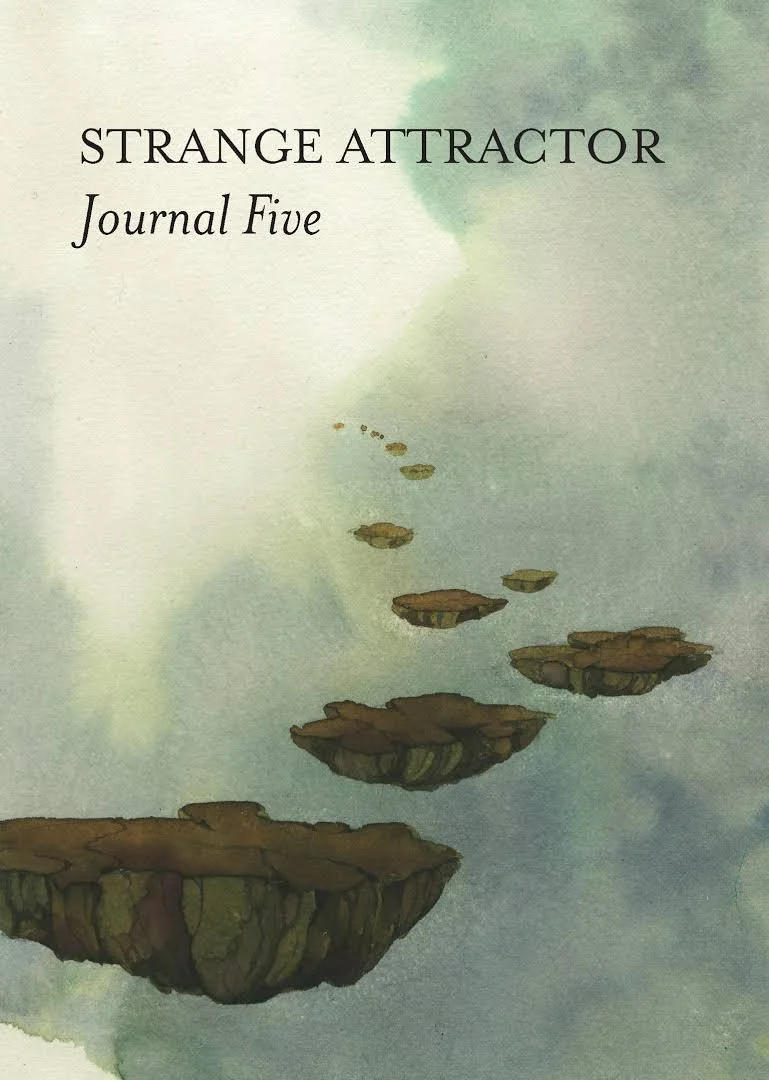 Strange Attractor Journal 5