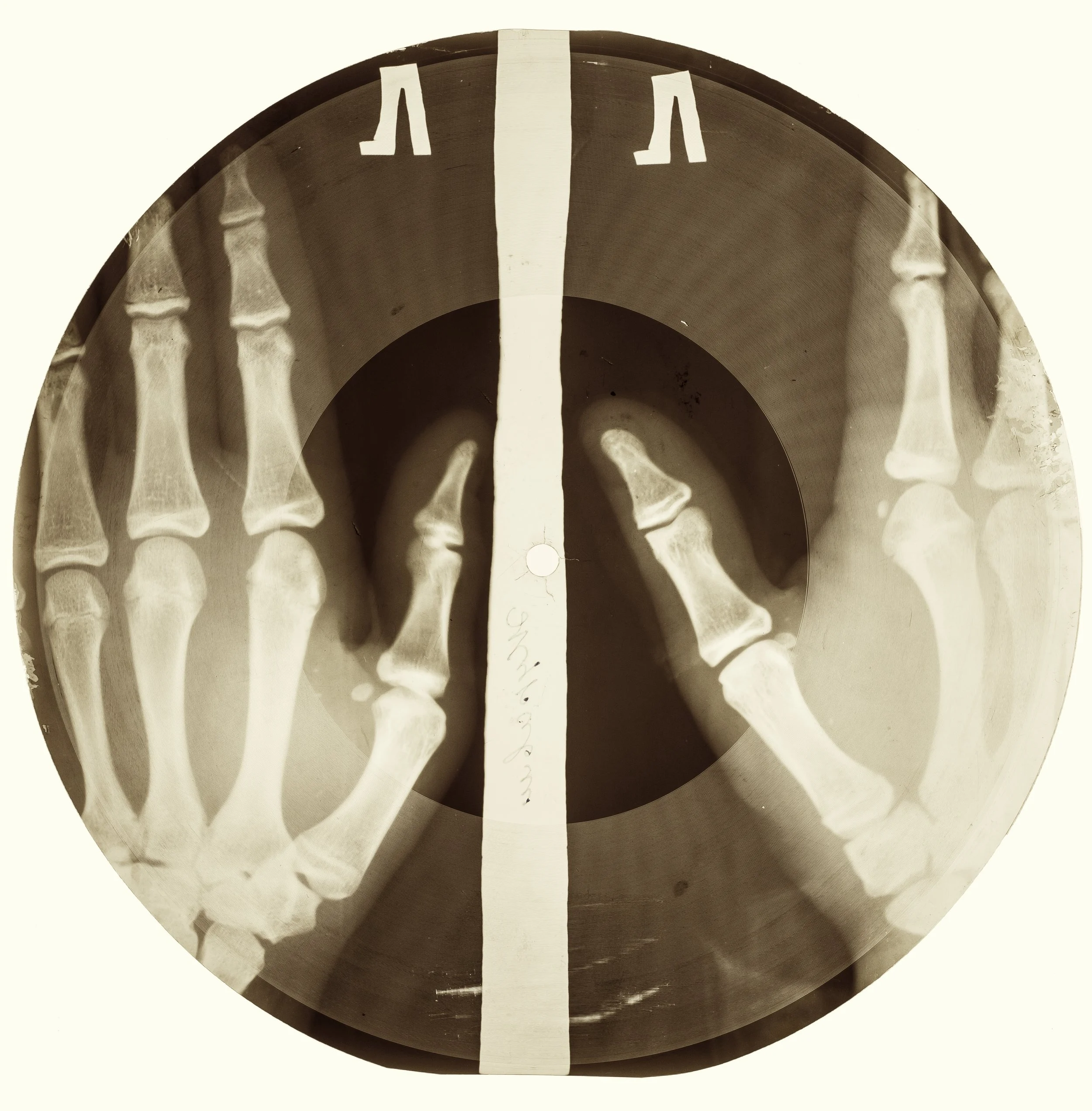 Bones-9455.jpg