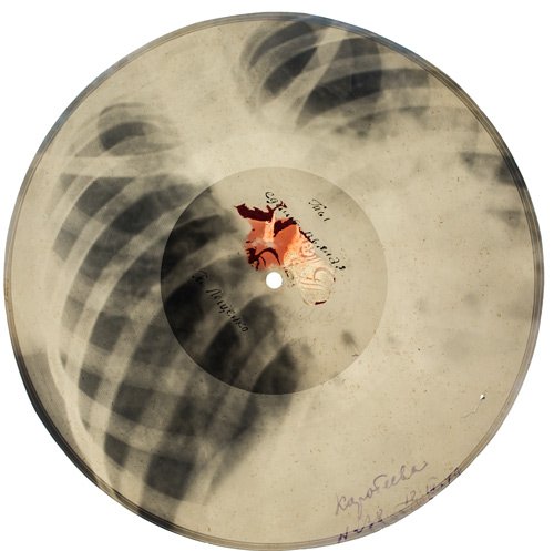 bones-web.jpg