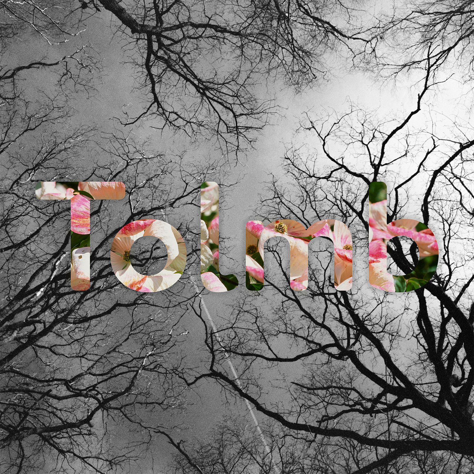 The word 'tell' overlaid on a grayscale background of leafless tree branches, with a floral pattern visible inside the text.