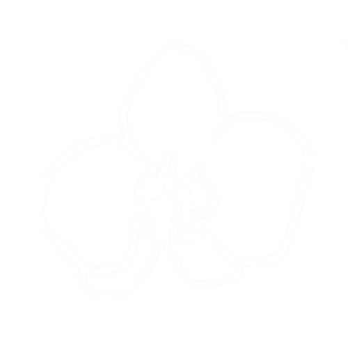 An abstract outline icon with a rainbow-shaped pattern within a circle shape.