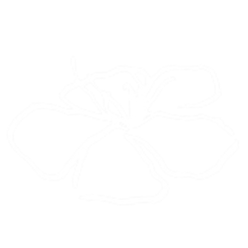 An abstract outline icon of a circle sliced into different proportions on the left and right sides, like a pizza.