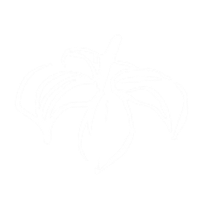 An abstract outline icon with diagonal lines within a circle shape.