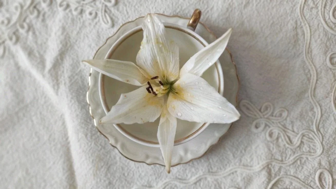 A white lily flower with droplets of water in a white cup placed on a lace tablecloth.
