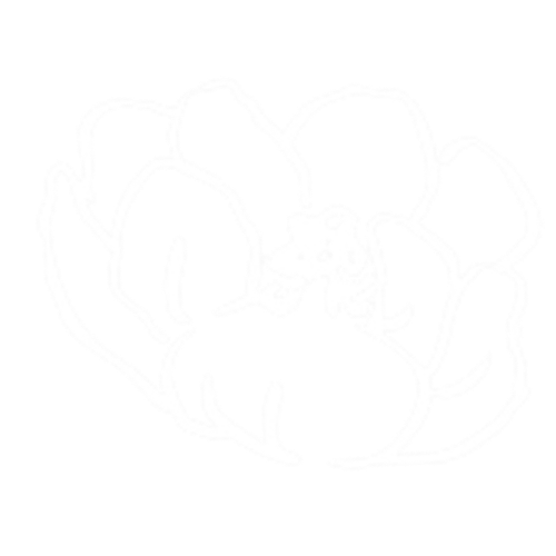 An abstract outline icon with geometric and diagonal lines across a circle shape.