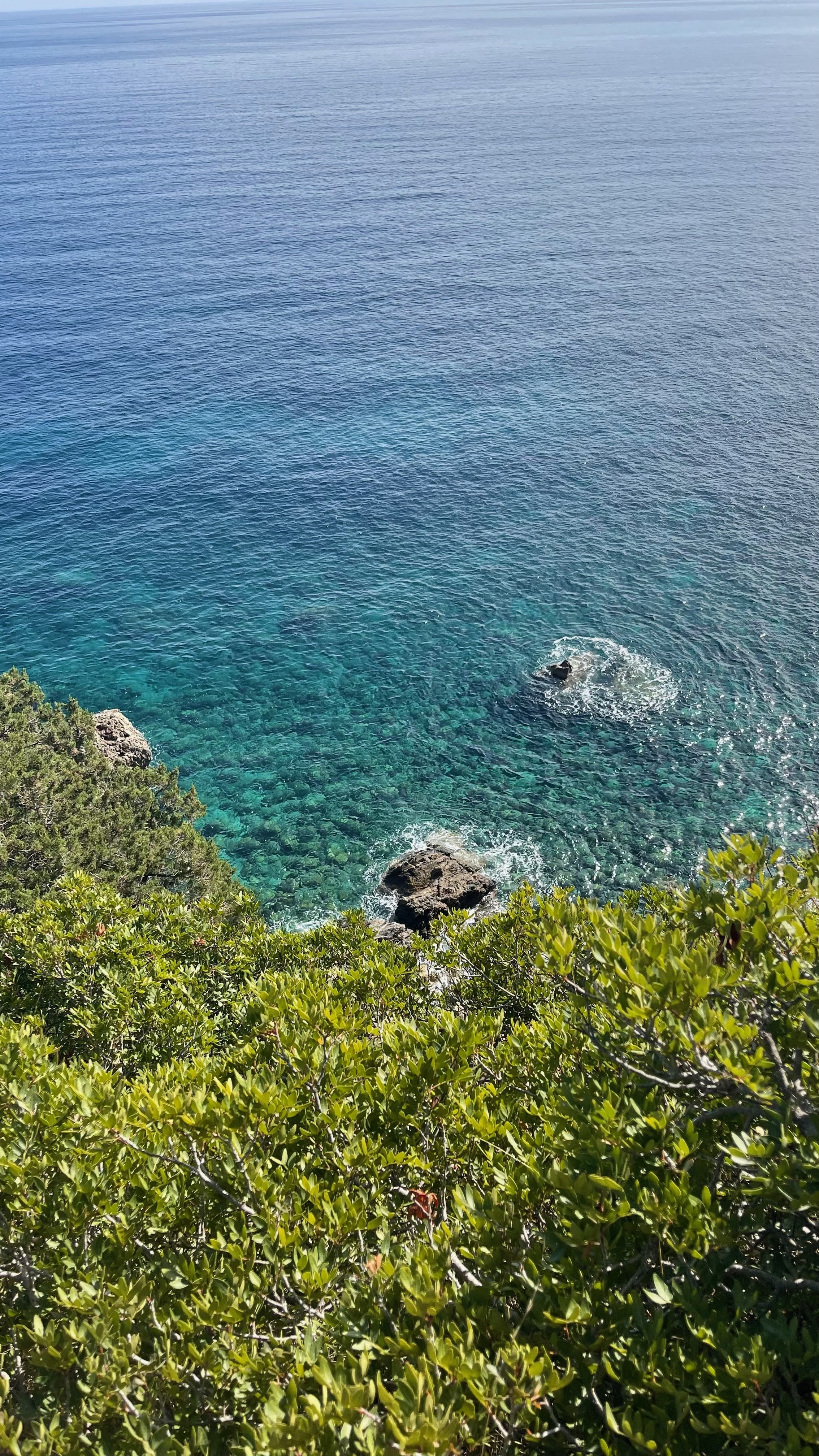 A view of the ocean from a rocky cliff. The water is clear with shades of blue and green, and there are green bushes in the foreground.