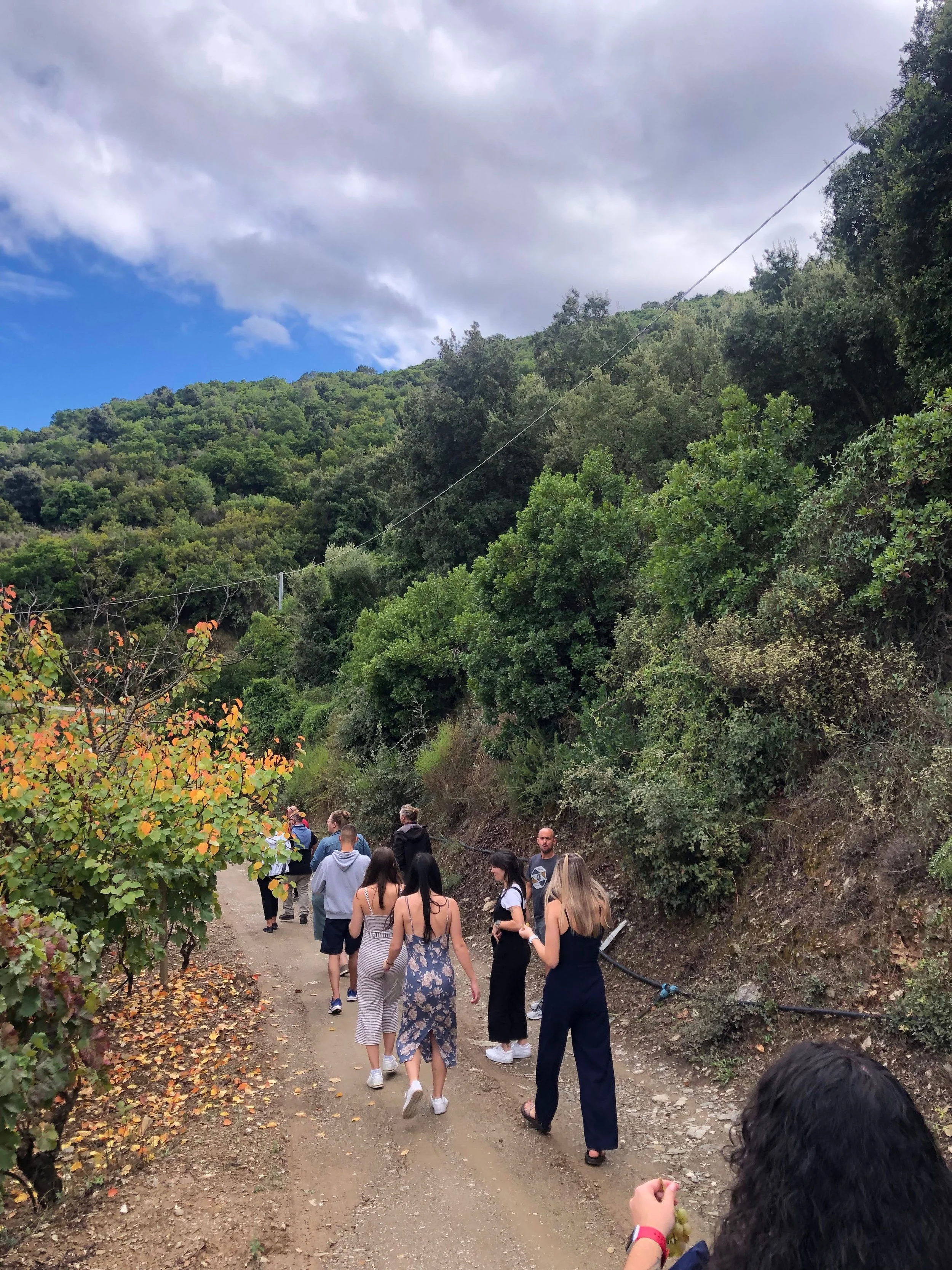 A group of people walking on a dirt trail through a green, hilly landscape under cloudy skies.